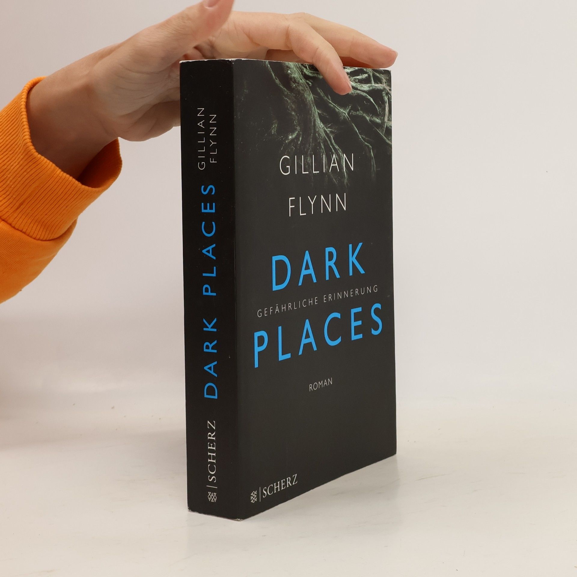 Gillian Flynn Dark places