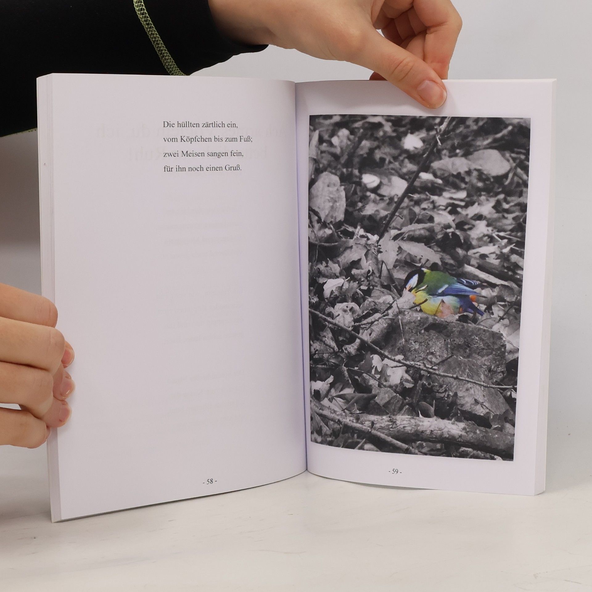 Roswitha Springschitz Ohne Gott es nahmen