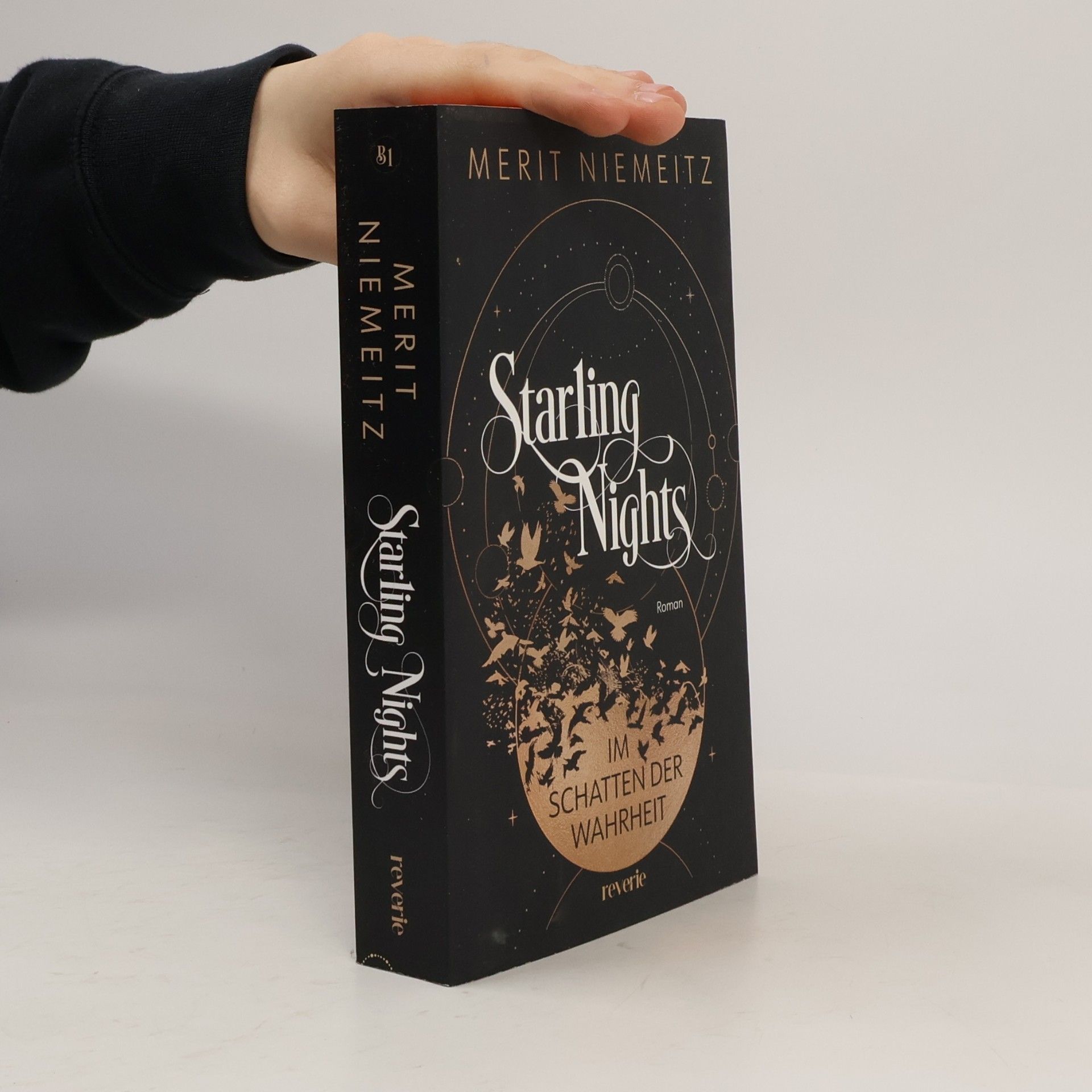 Merit Niemeitz Starling Nights 1