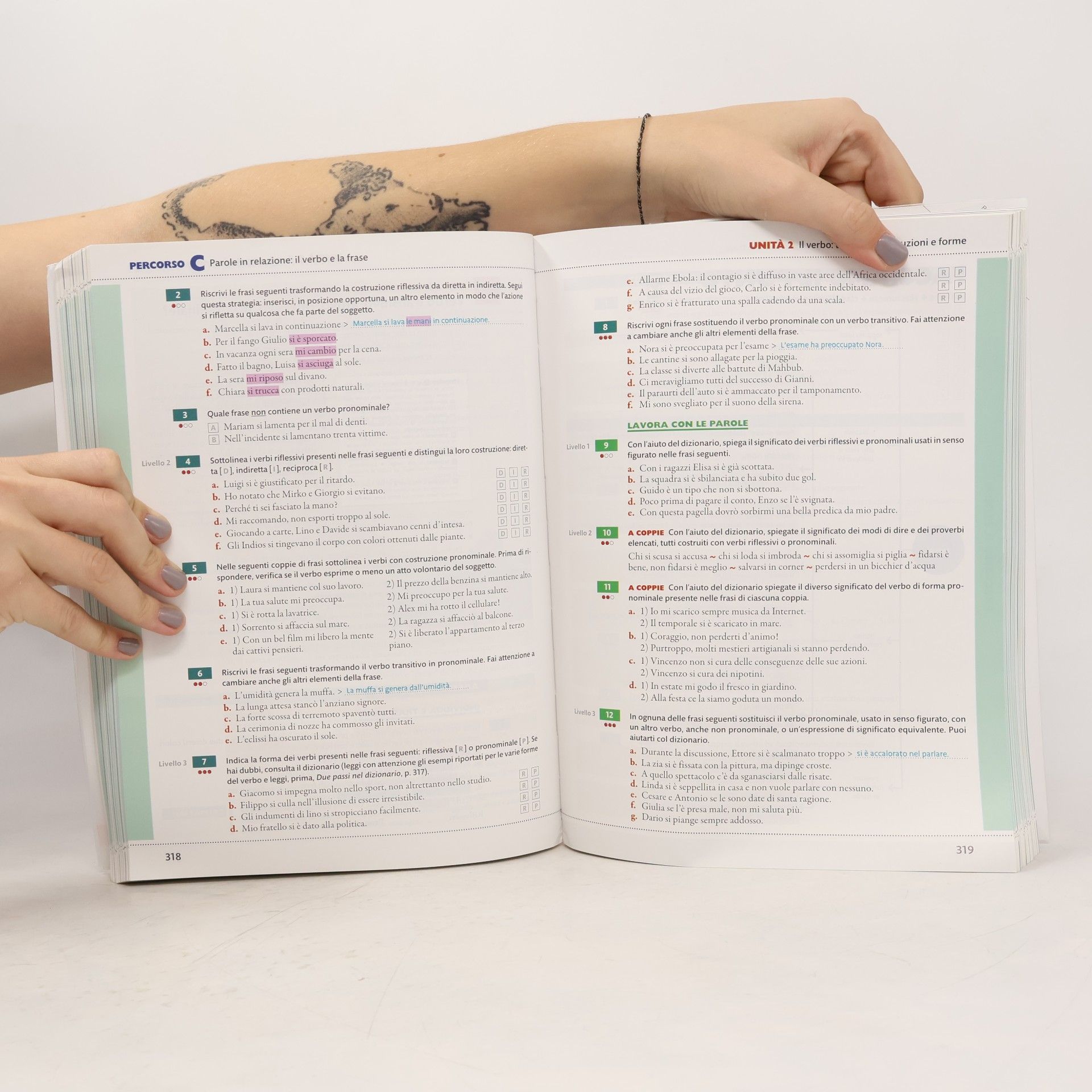 Cecilia Pisoni Nel vivo della lingua. Grammatica, lessico e comunicazione. Per le Scuole superiori. Con Contenuto digitale (fornito elettronicamente)
