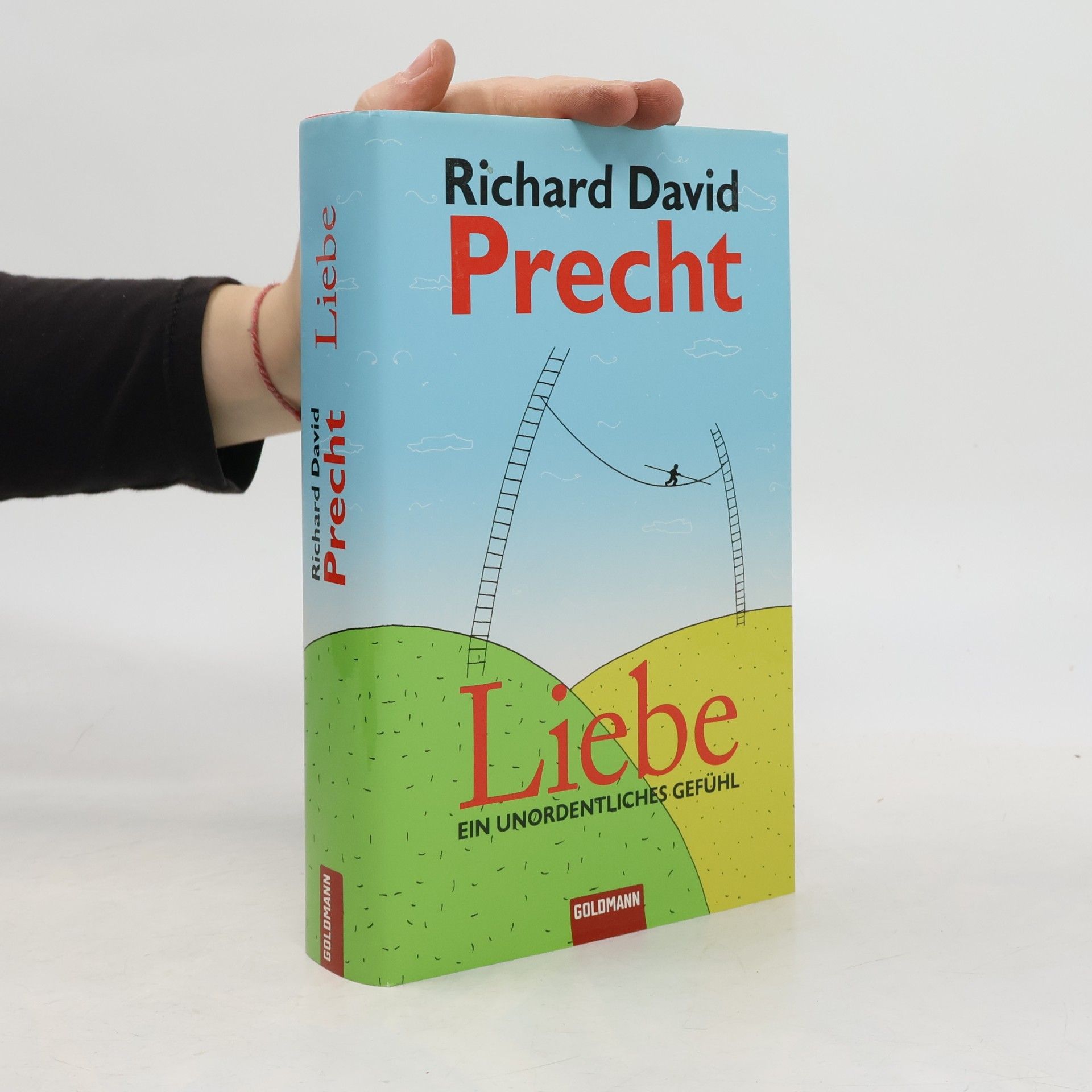 Richard David Precht Liebe ein Unordentliches Gefühl