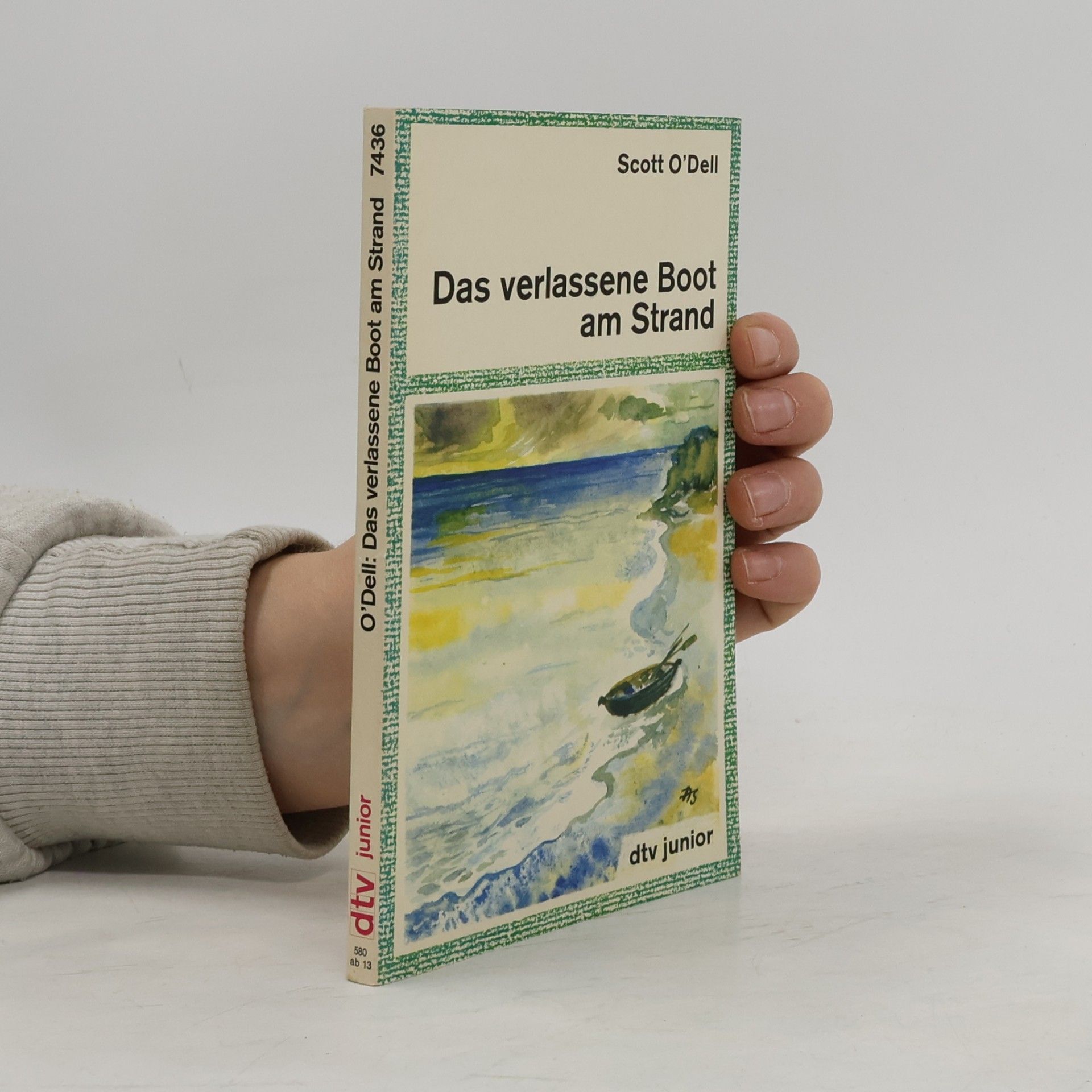 Das verlassene Boot am Strand
