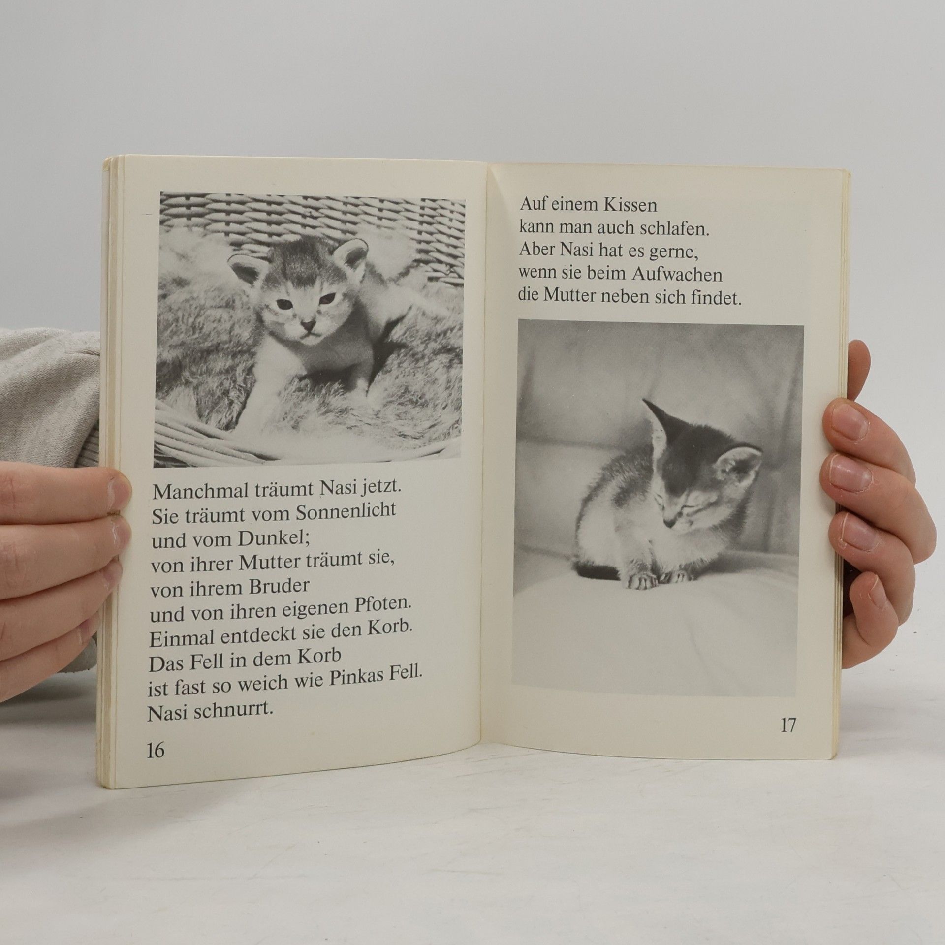 Gina Ruck-Pauquèt Eine Handvoll Katze. Erste Lebenswochen eines Katzenkindes