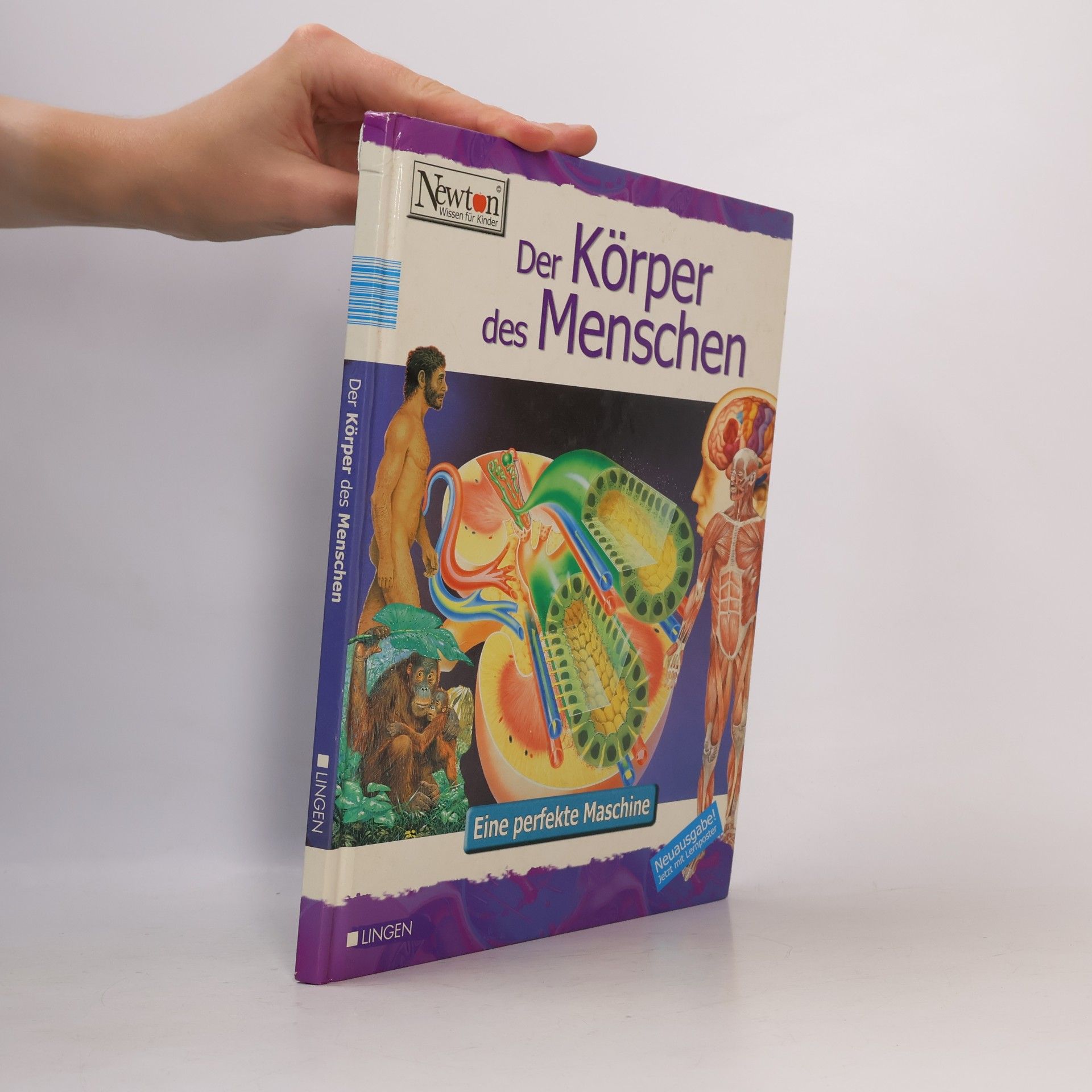 Autorenkollektiv Der Körper des Menschen