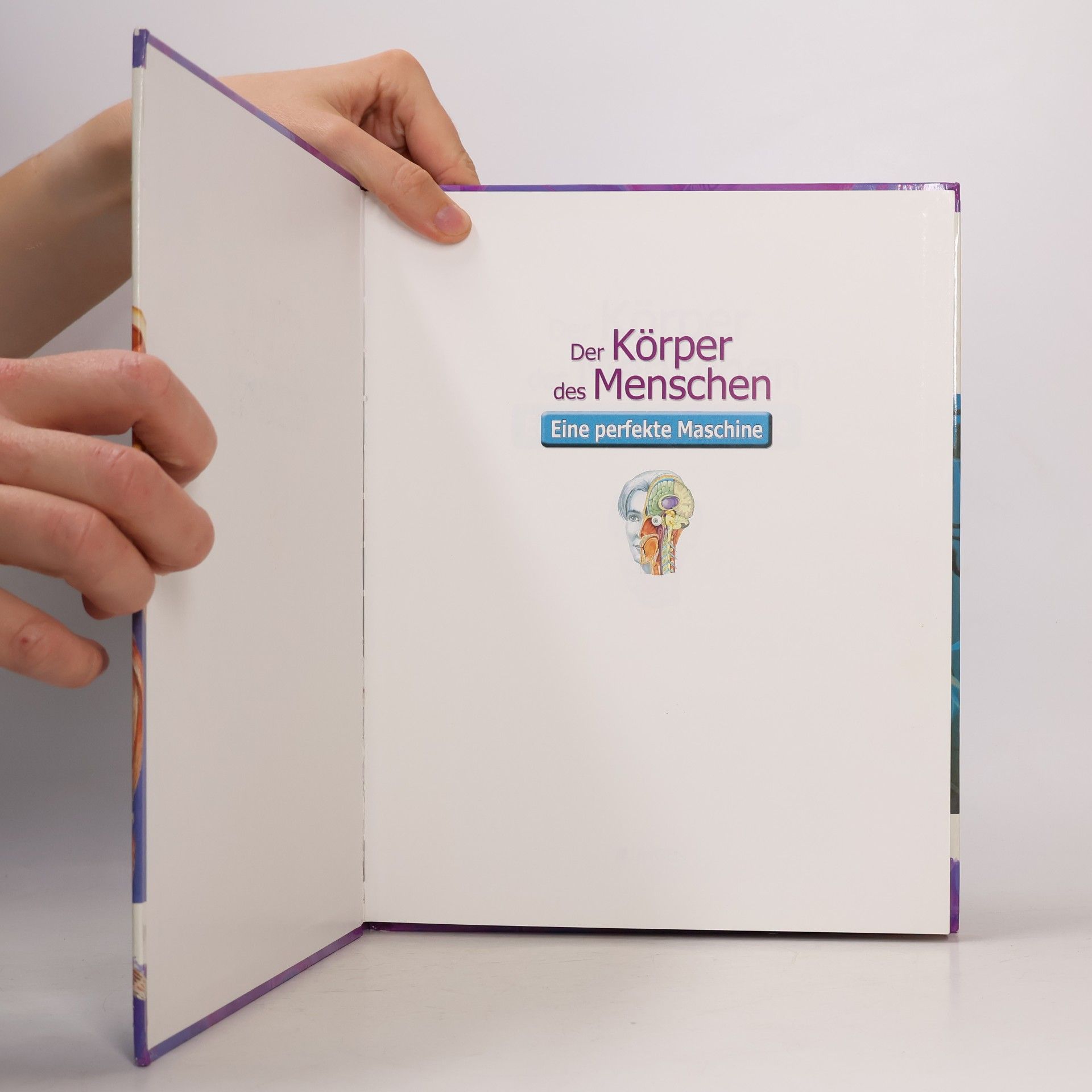 Autorenkollektiv Der Körper des Menschen