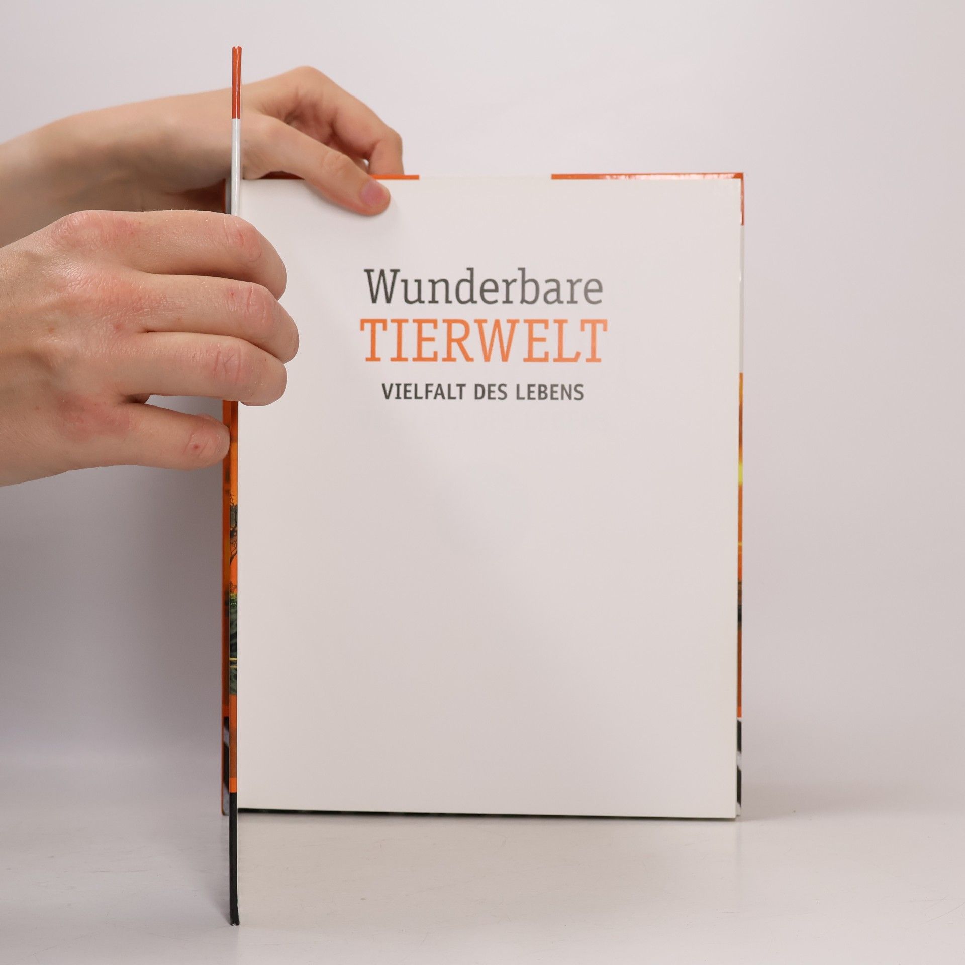 Autorenkollektiv Wunderbare TIERWELT