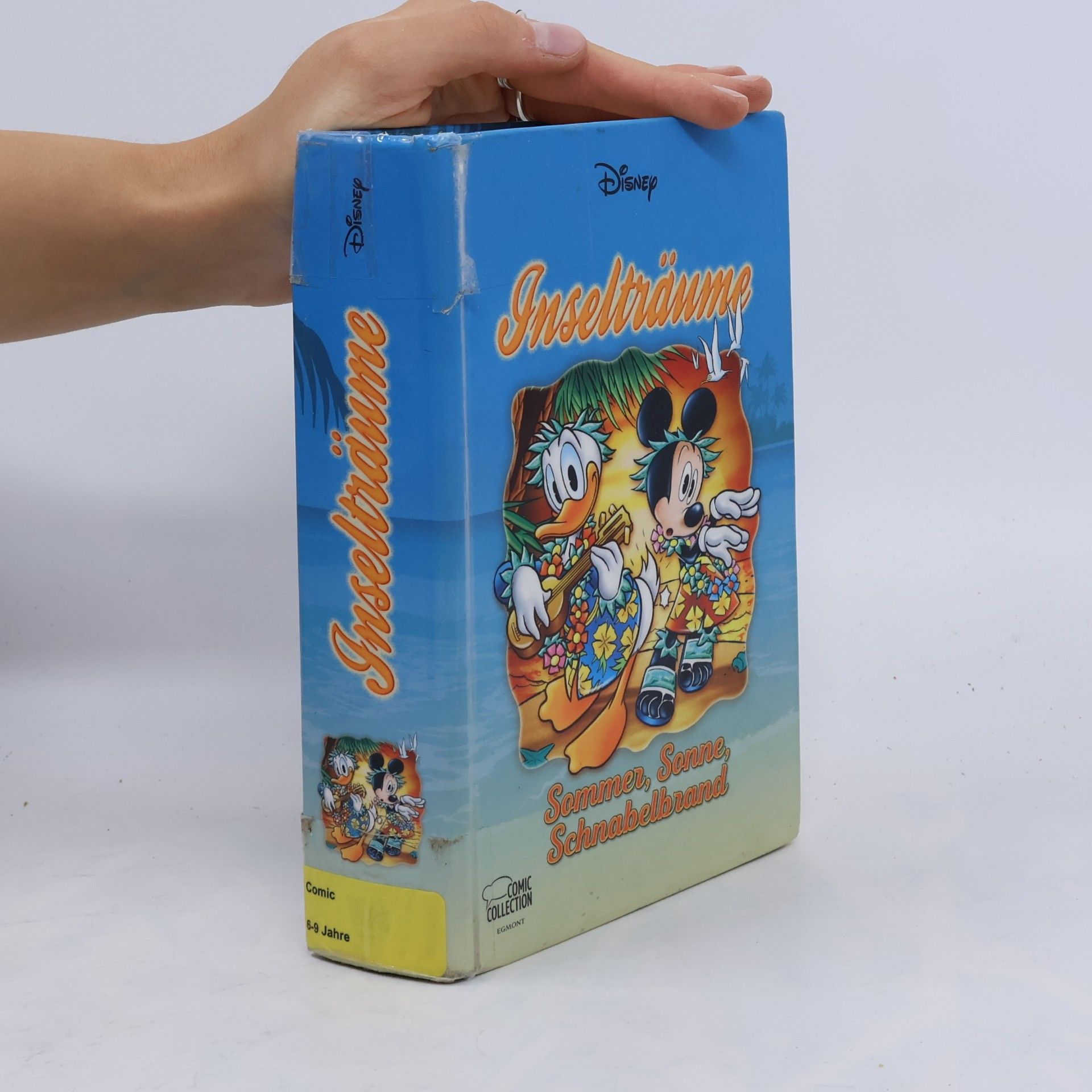 Walt Disney Company Inselträume