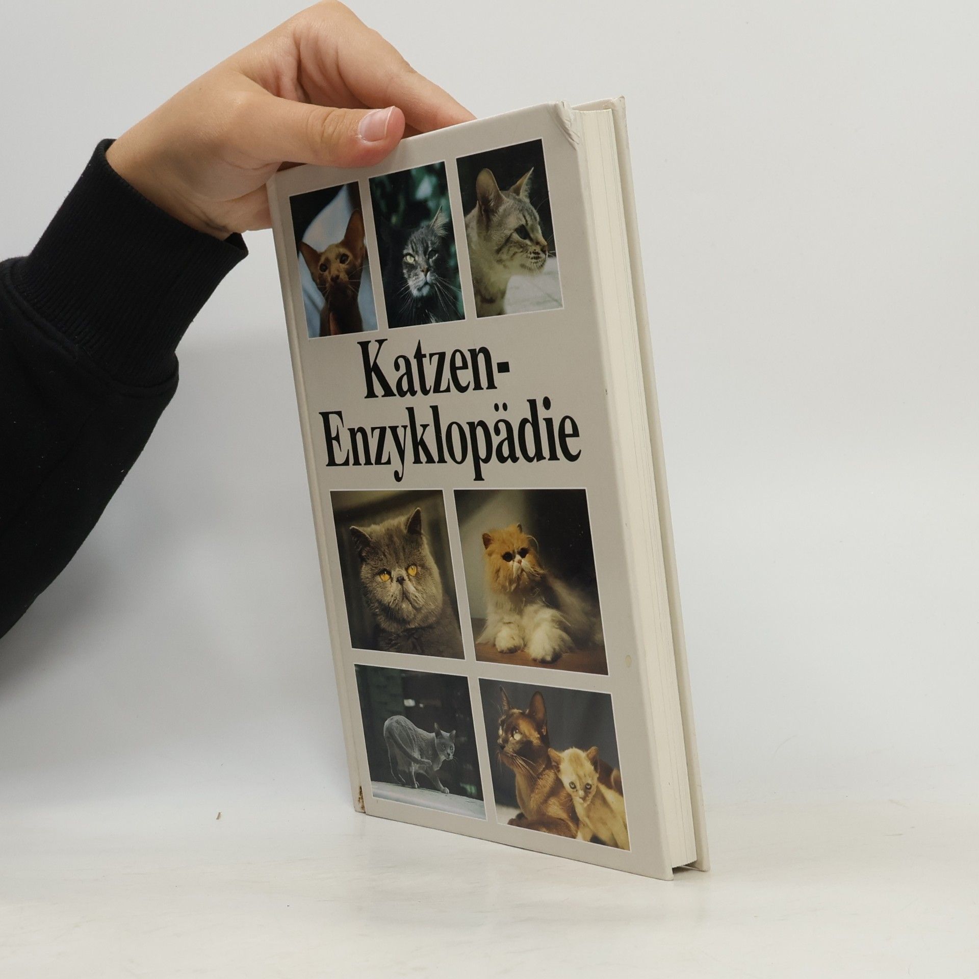 Esther J. J. Verhoef-Verhallen Katzen-Enzyklopädie