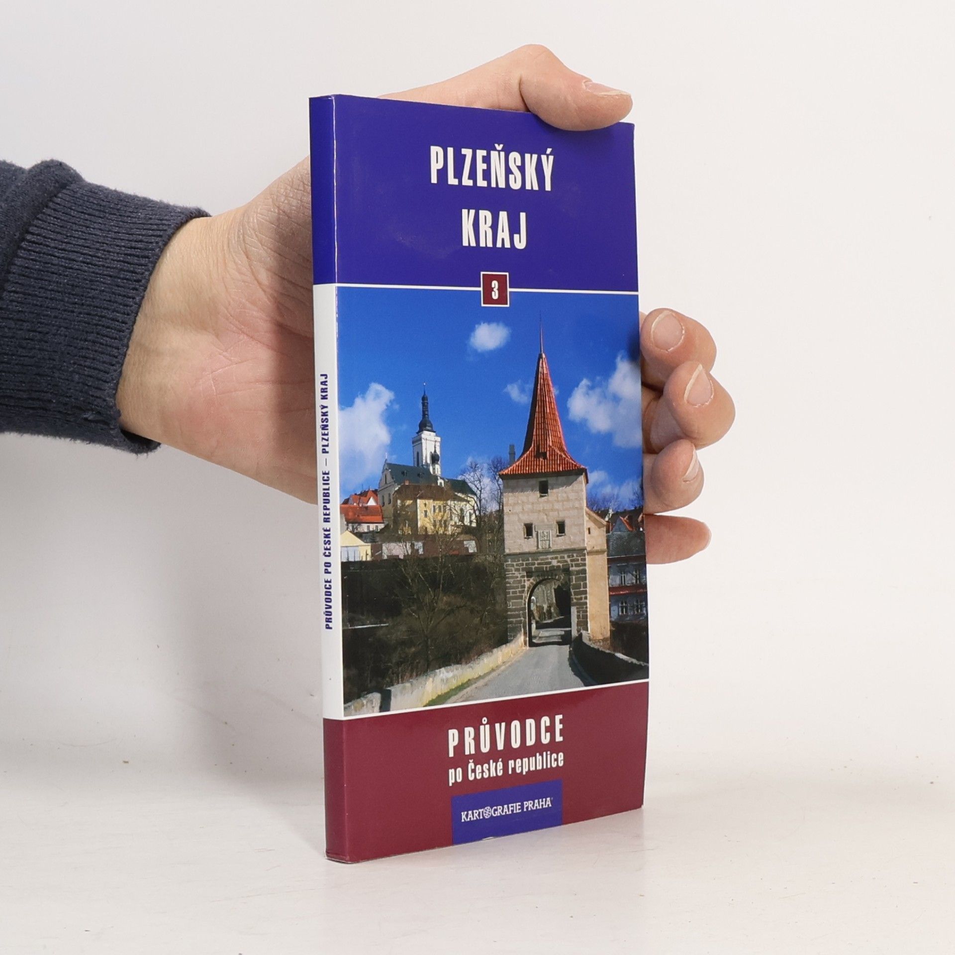 Zdeněk Procházka Plzeňský kraj