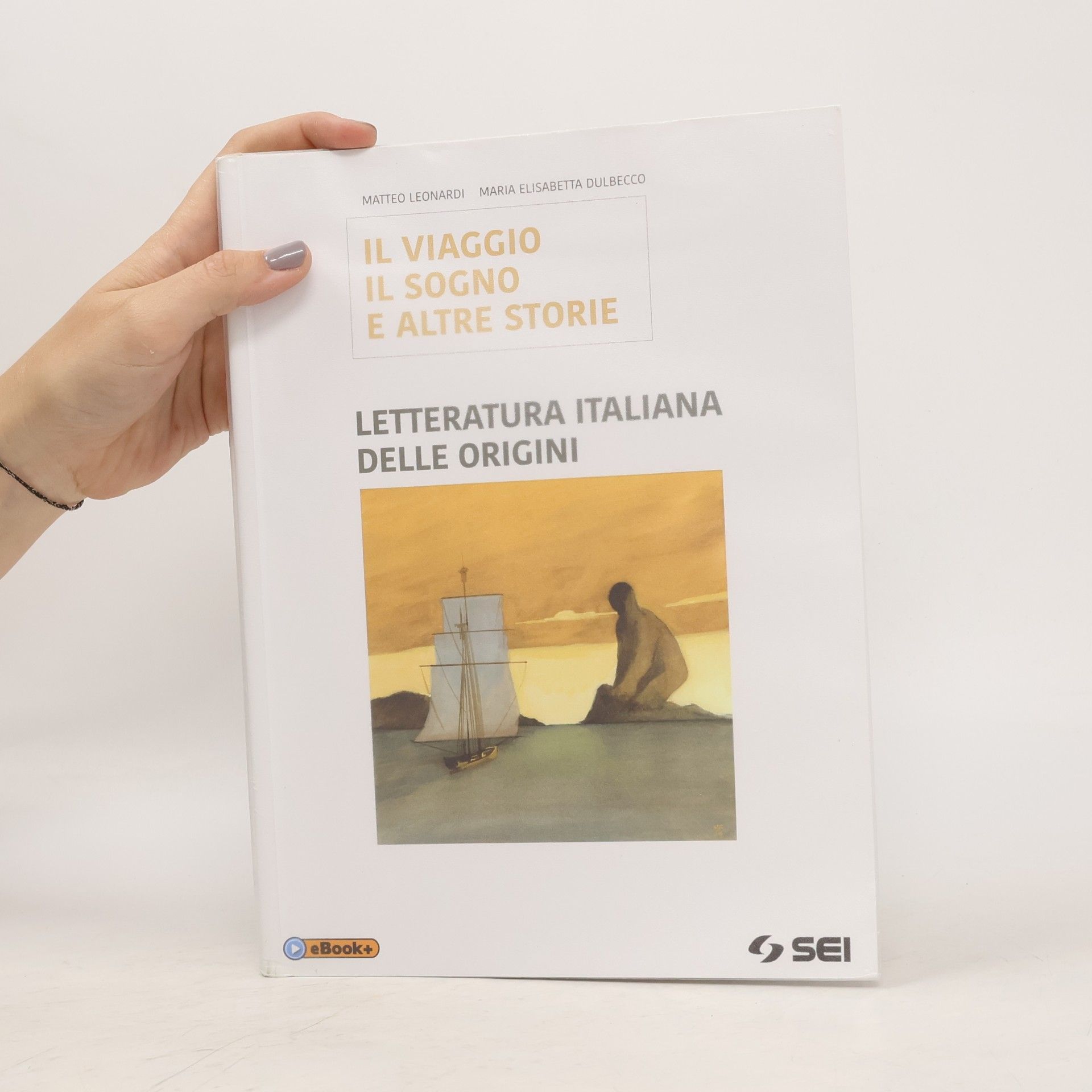 Matteo Leonardi  Il viaggio, sogno e altre storie