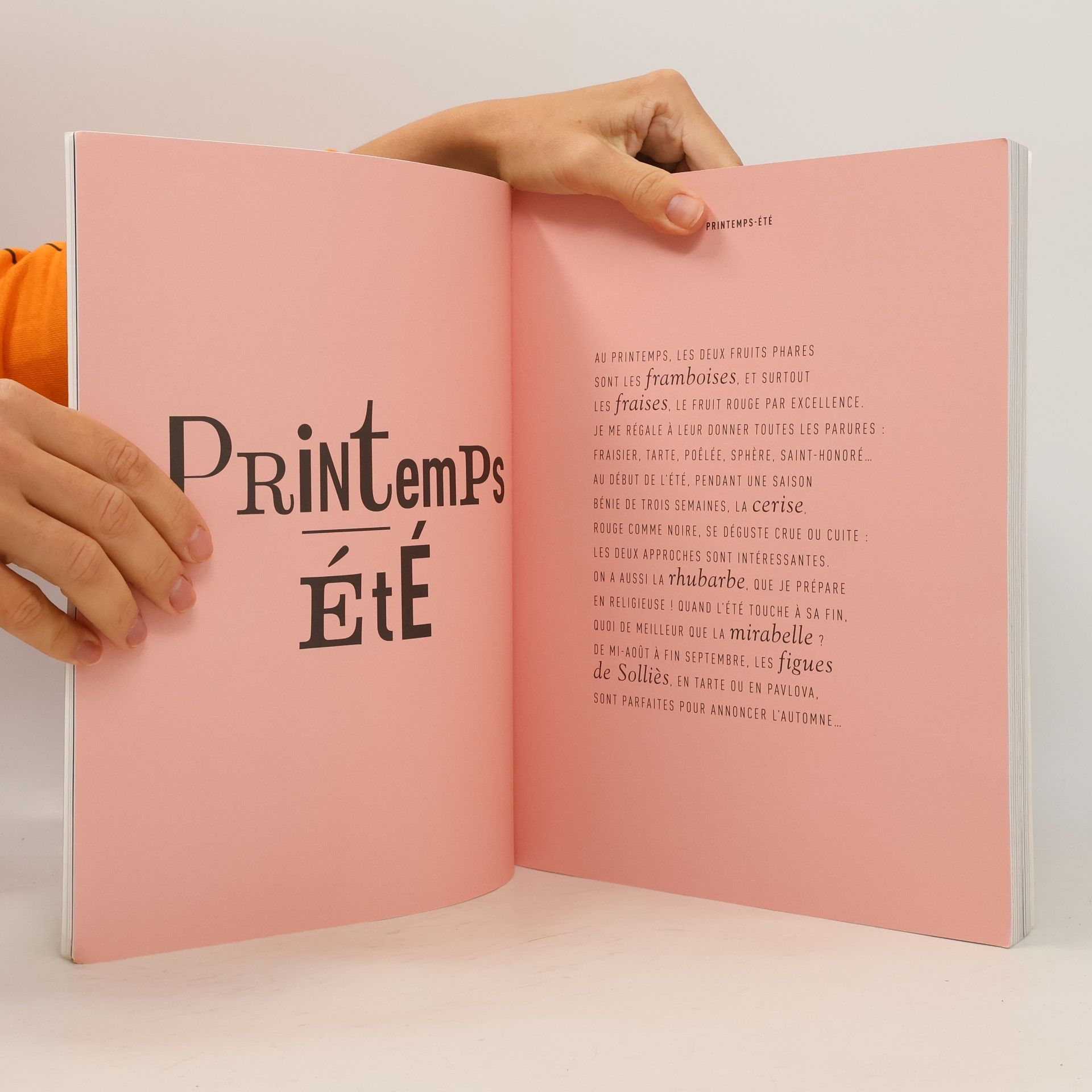 Hugues Pouget Ma pâtisserie authentique