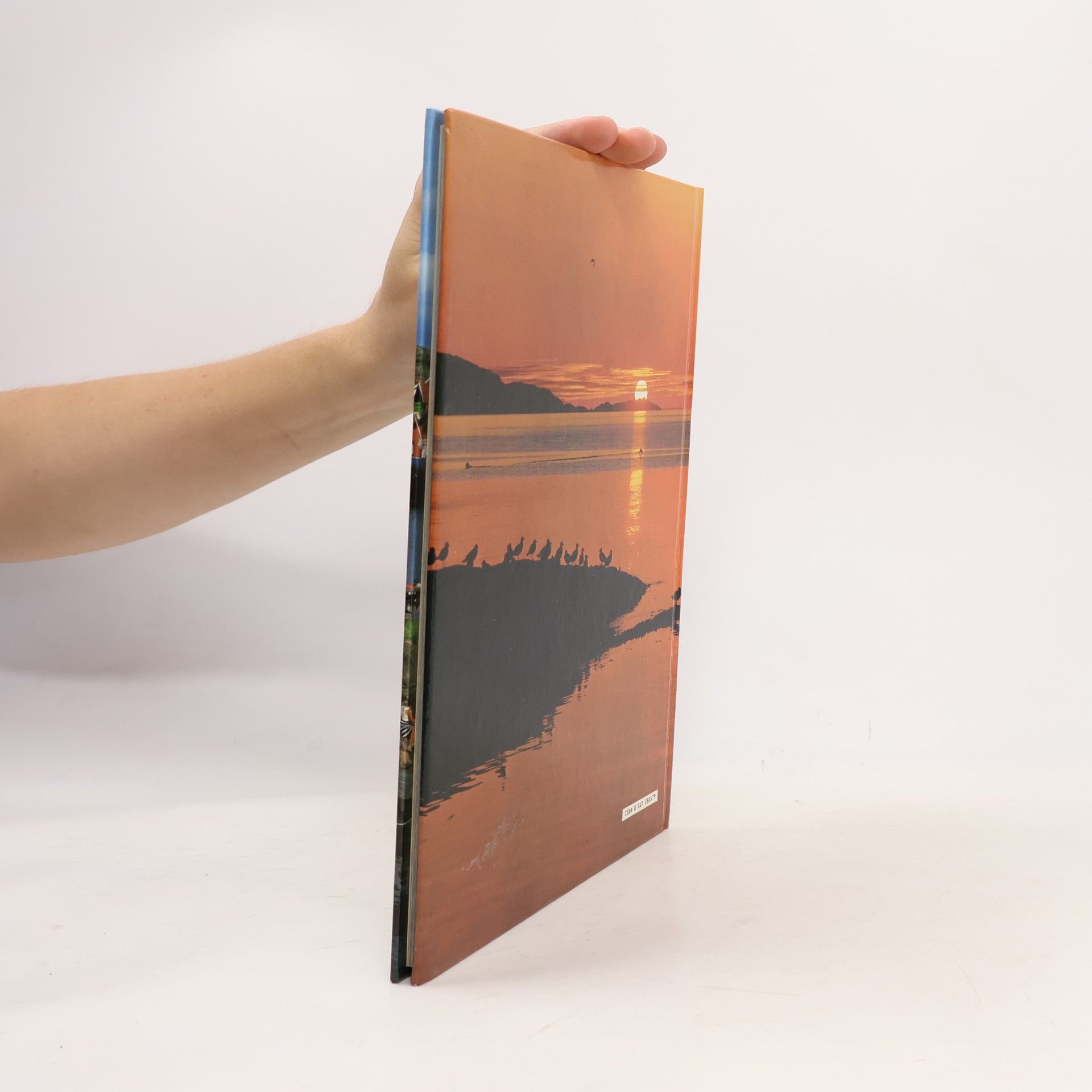 Ted Smart Scandinavia : a picture book to remember her by