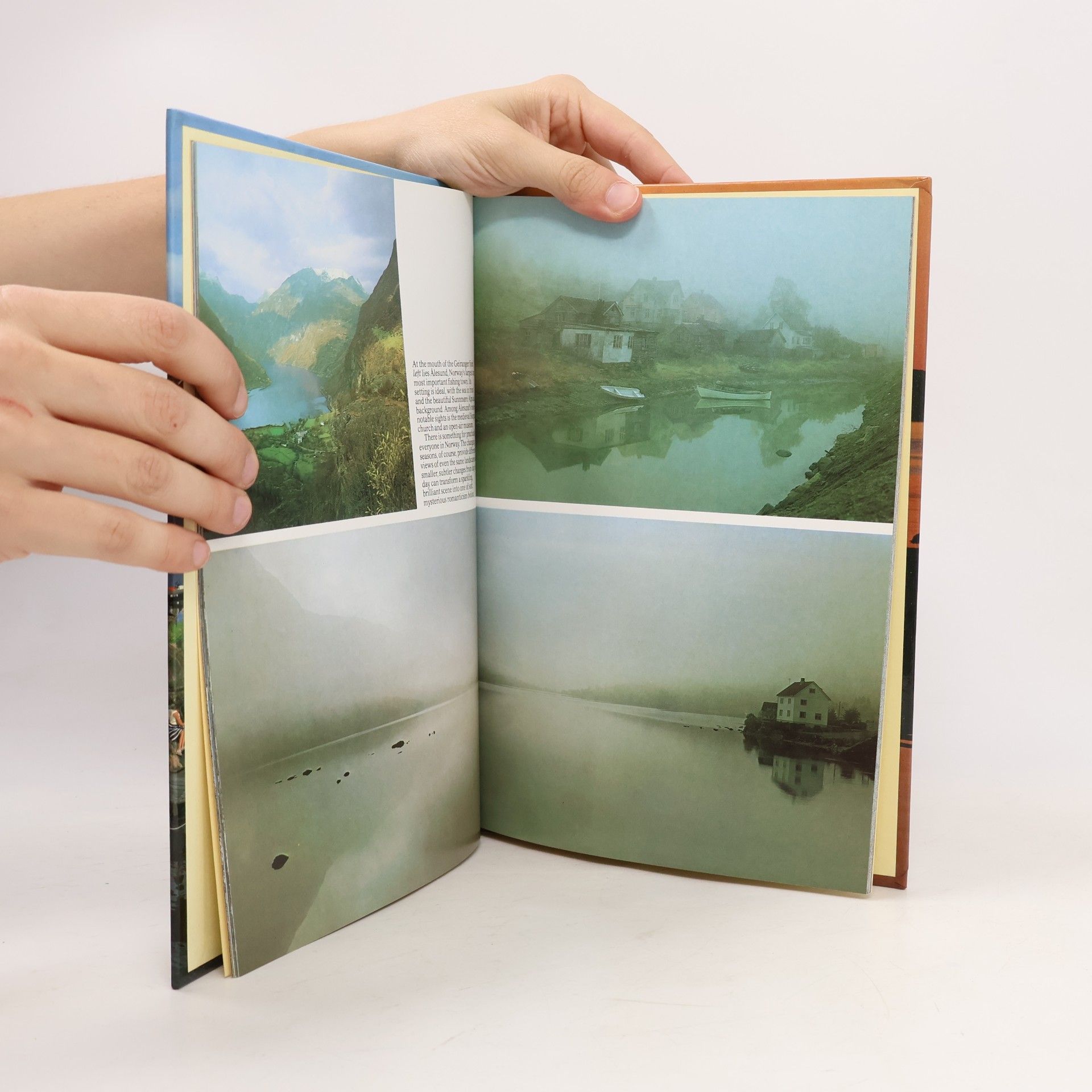 Ted Smart Scandinavia : a picture book to remember her by