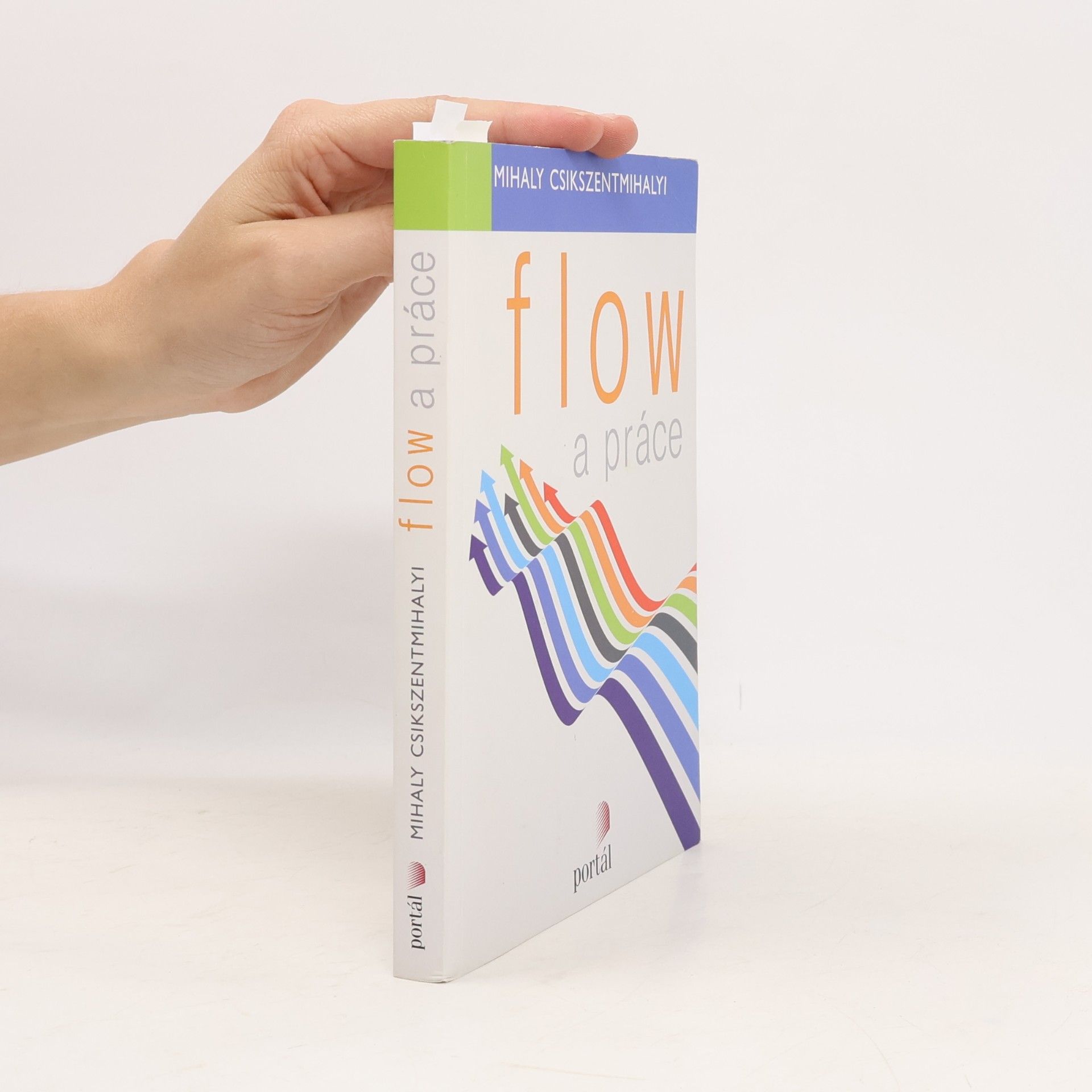 Mihaly Csikszentmihalyi Flow a práce