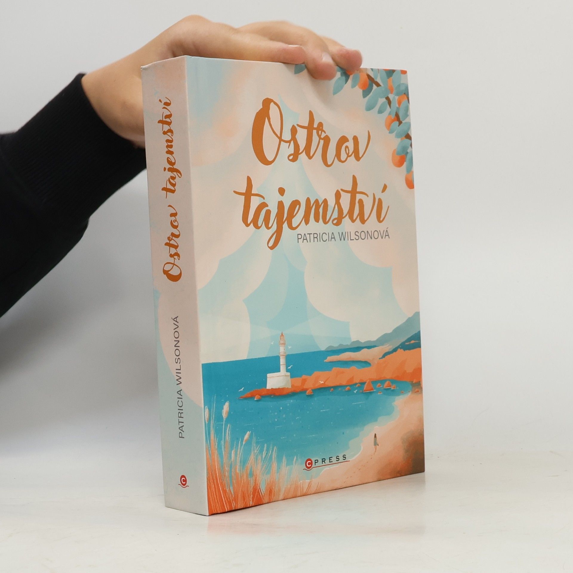 Patricia Wilson Ostrov tajemství