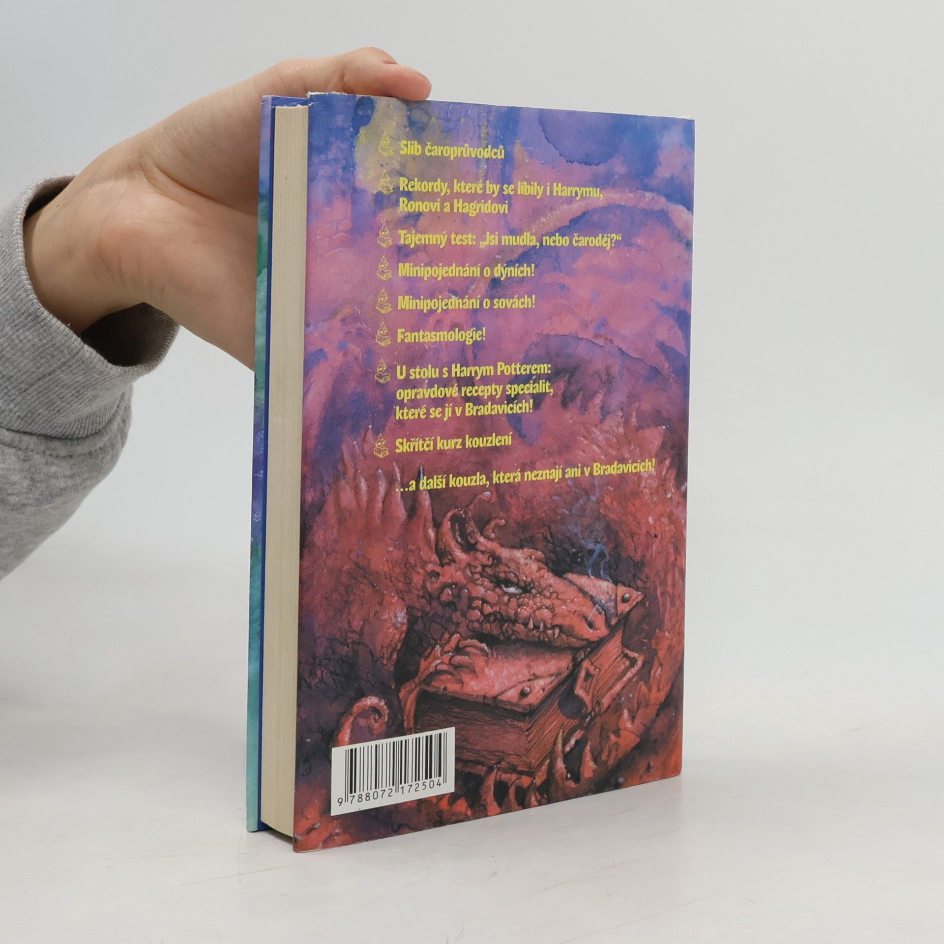 Edi Vesco Čarokniha: Magická říše kouzel Harryho Pottera