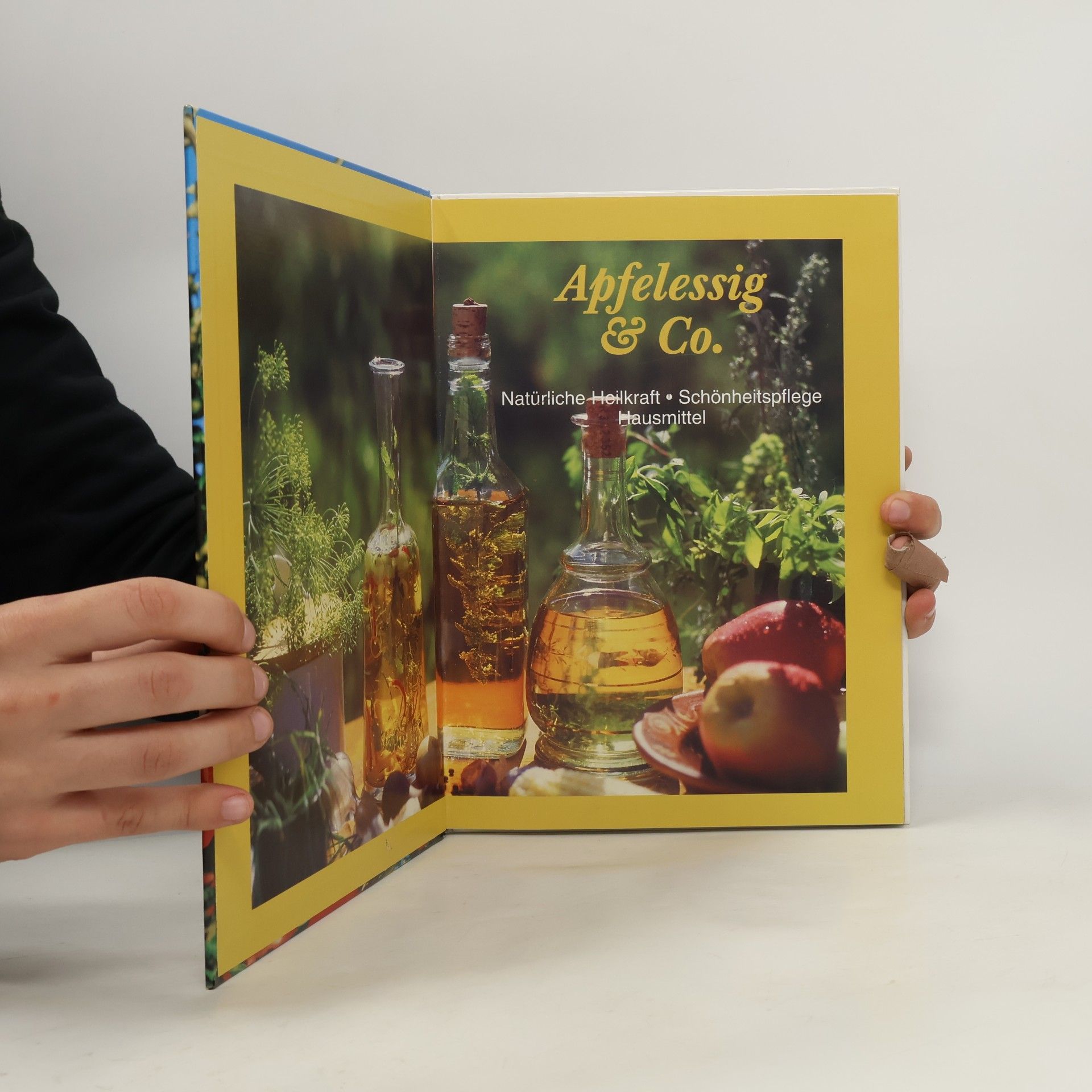 Autorenkollektiv Apfelessig und Co
