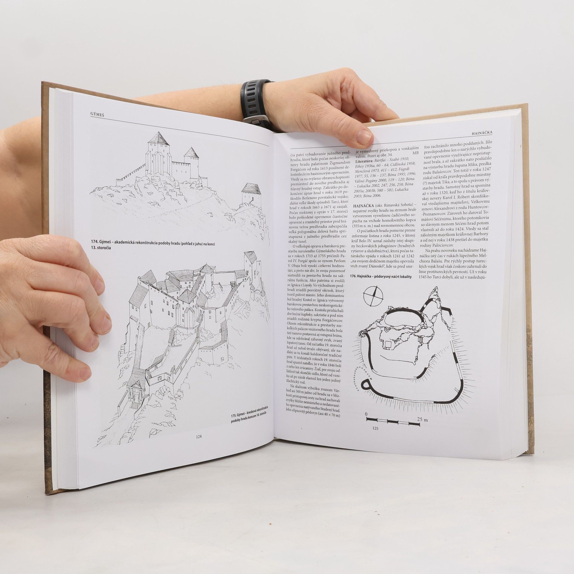 Miroslav Plaček Encyklopédia slovenských hradov