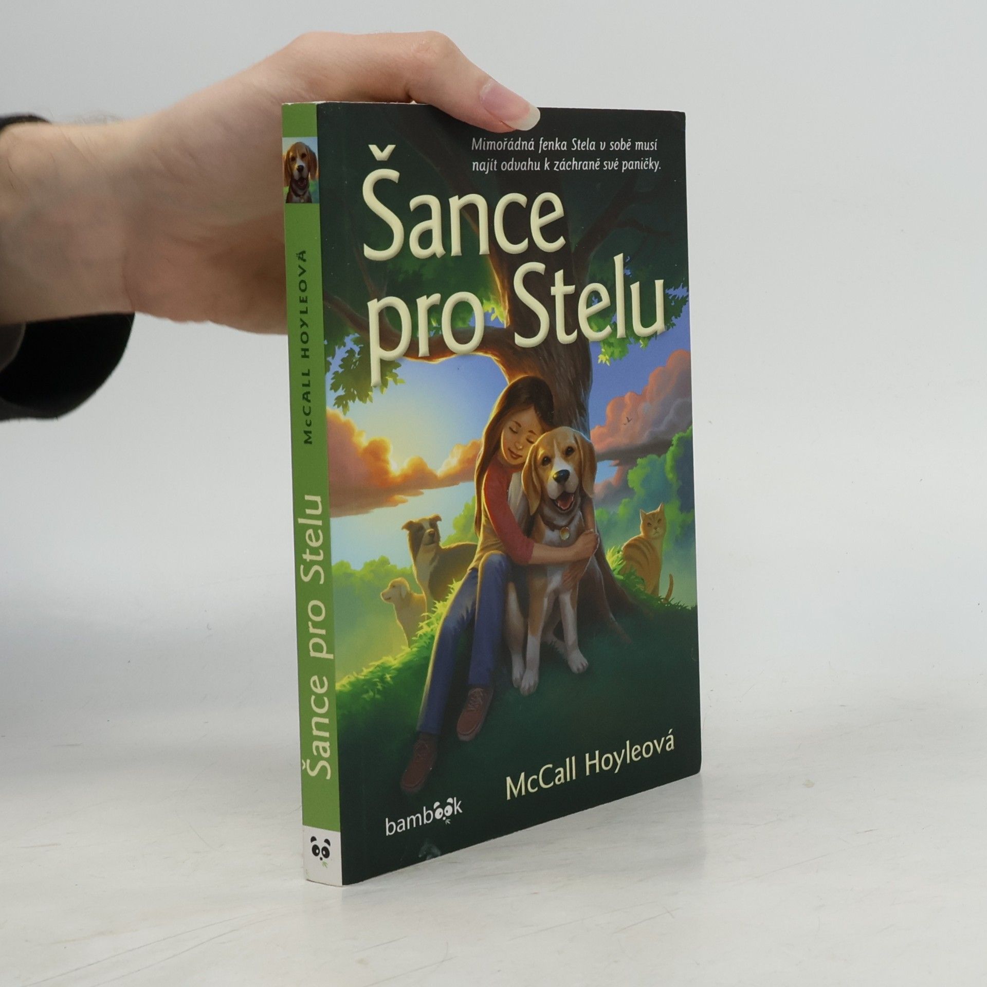 McCall Hoyle Šance pro Stelu