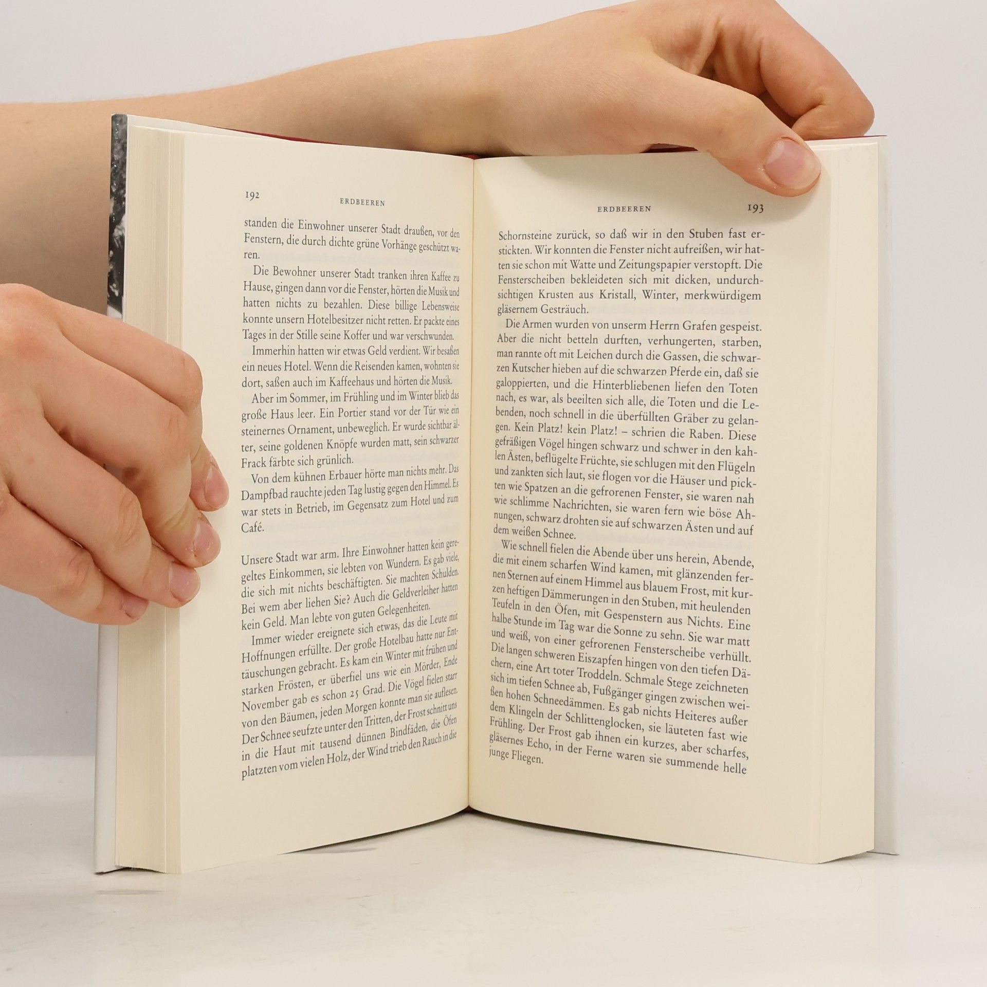 Joseph Roth Die Erzählungen