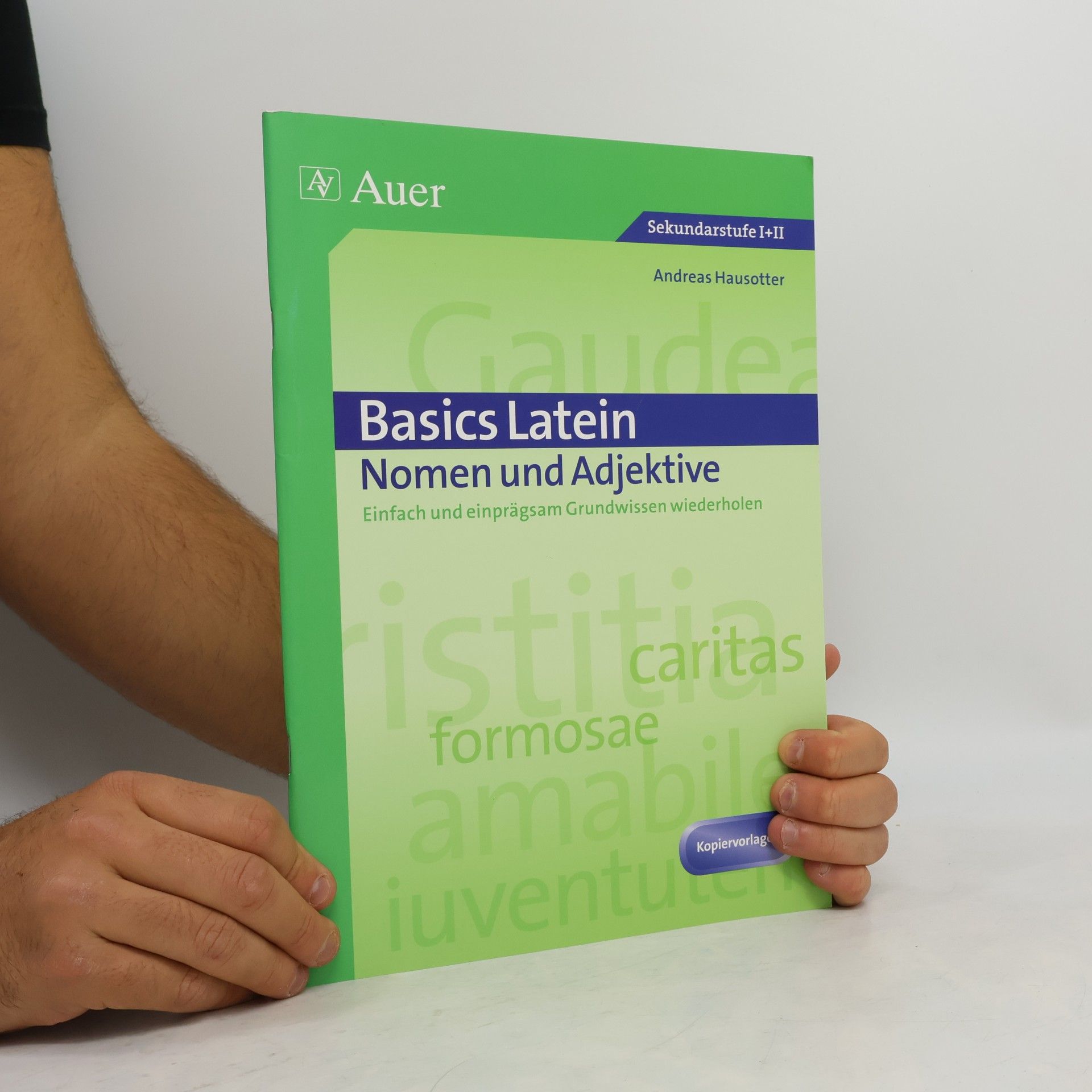 Andreas Hausotter Basics Latein, Nomen und Adjektive
