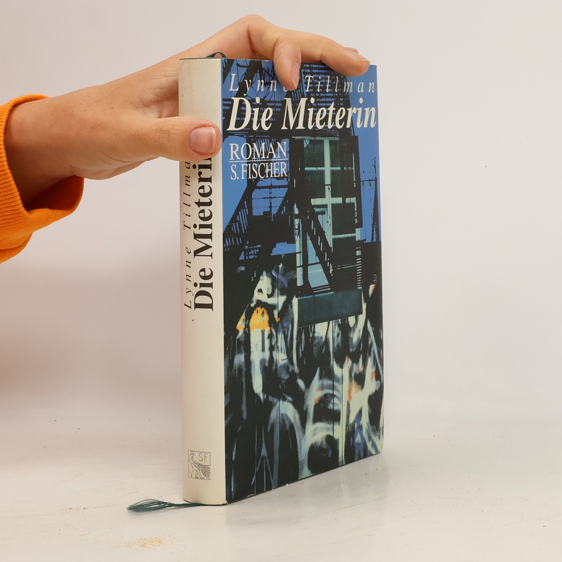 Lynne Tillman Die Mieterin