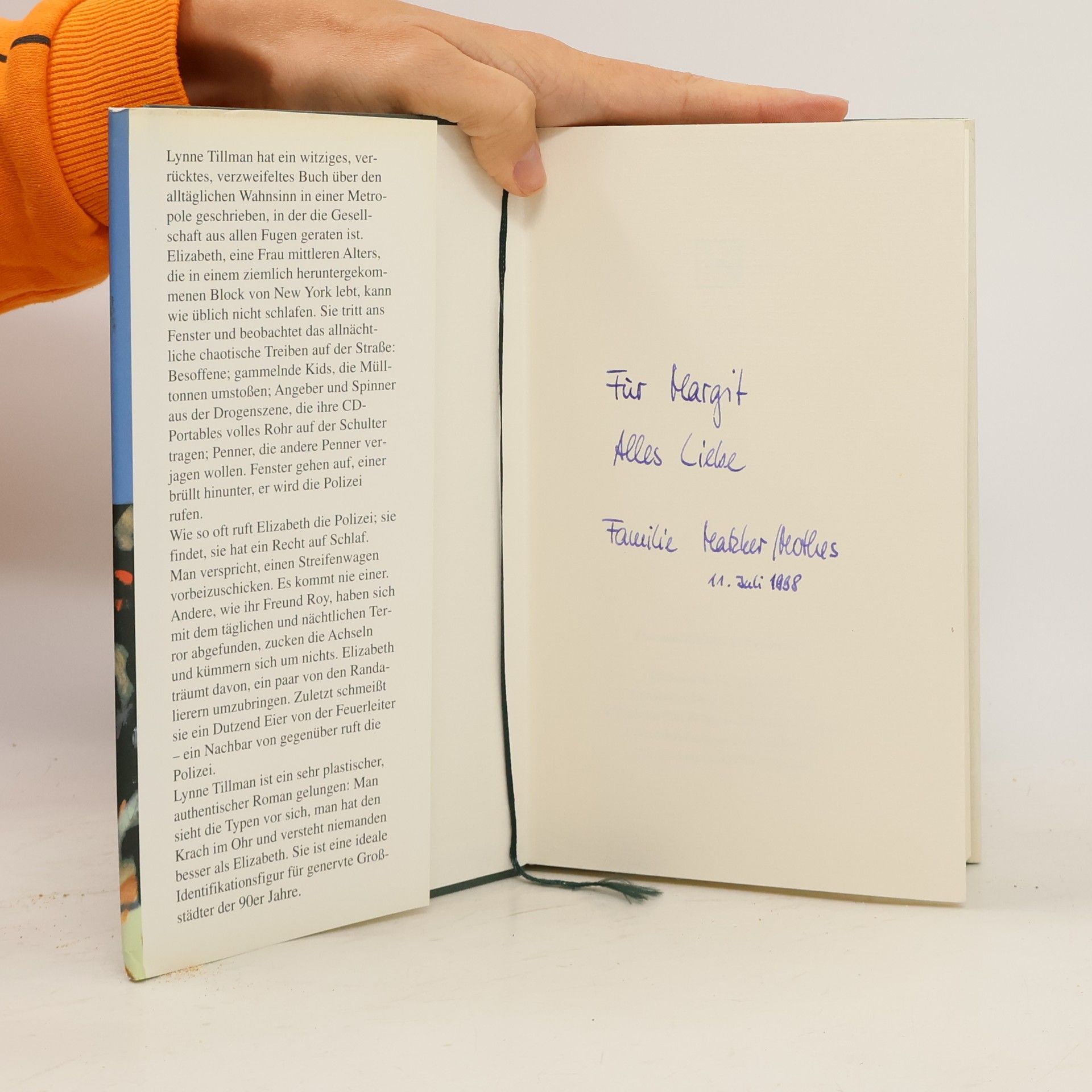 Lynne Tillman Die Mieterin