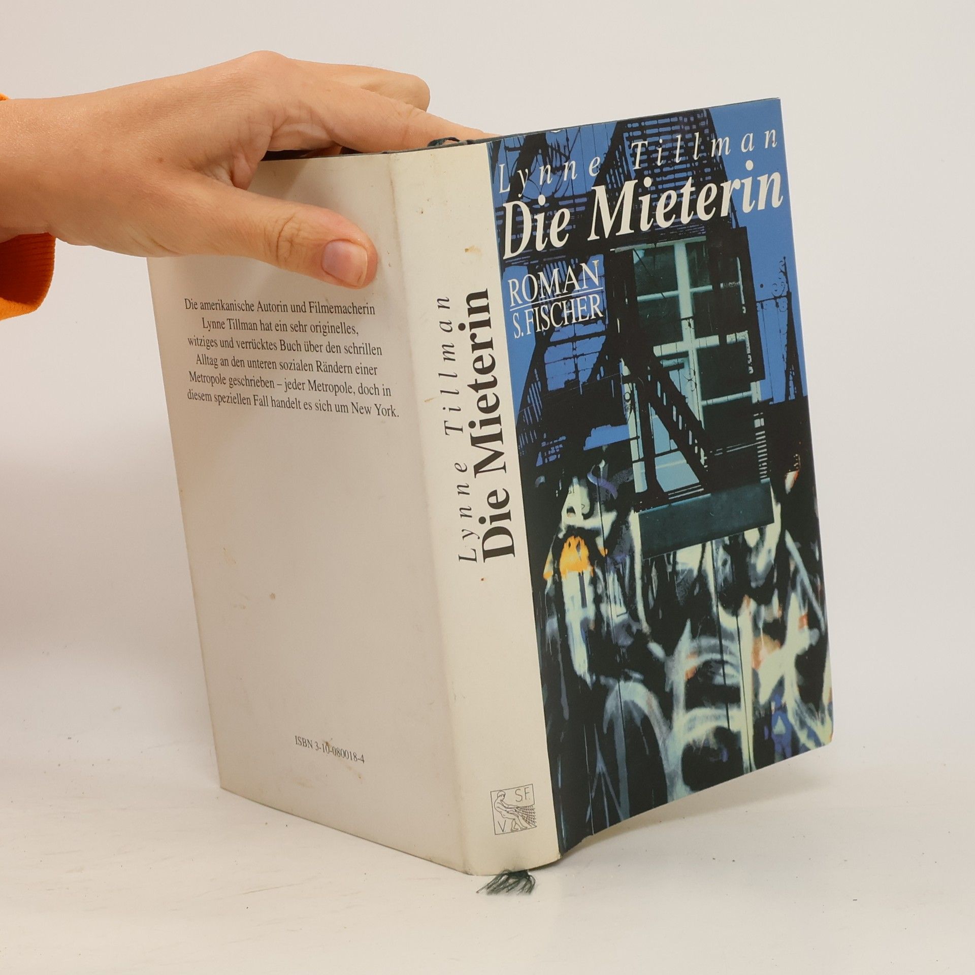 Lynne Tillman Die Mieterin