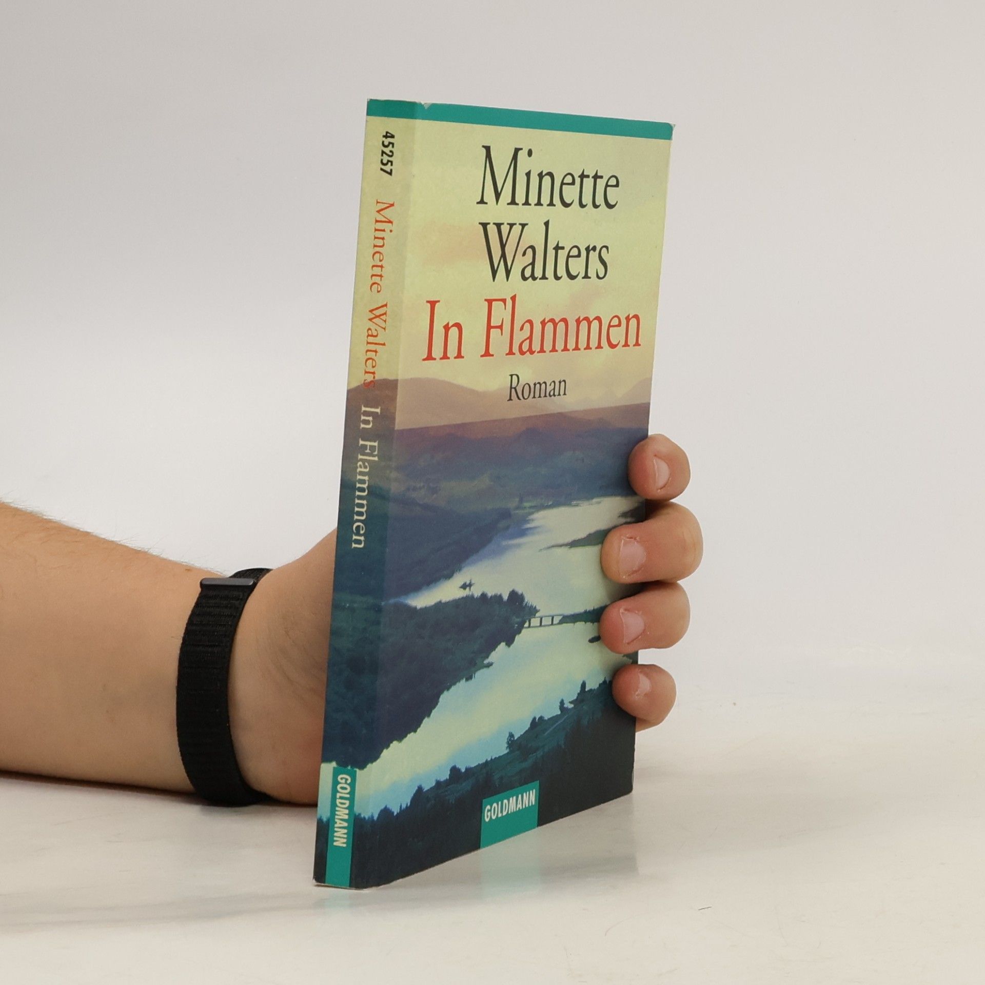 Minette Walters In Flammen