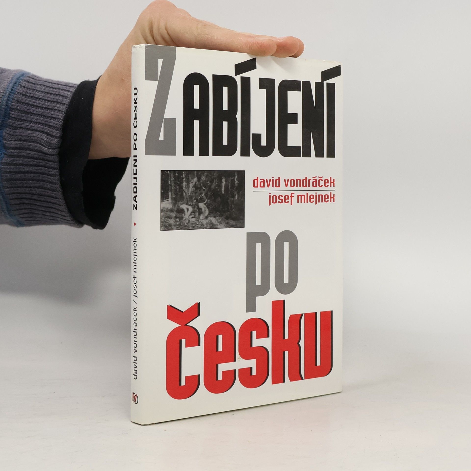 Josef Mlejnek Zabíjení po česku