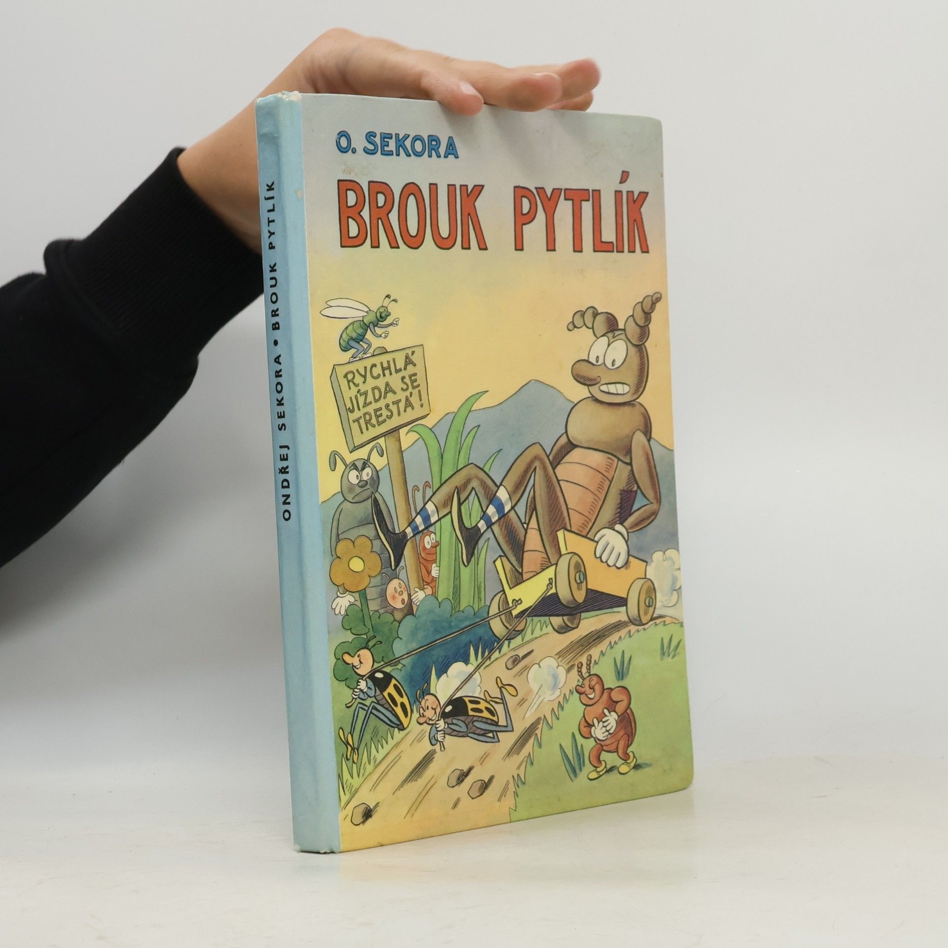 Ondřej Sekora Brouk Pytlík