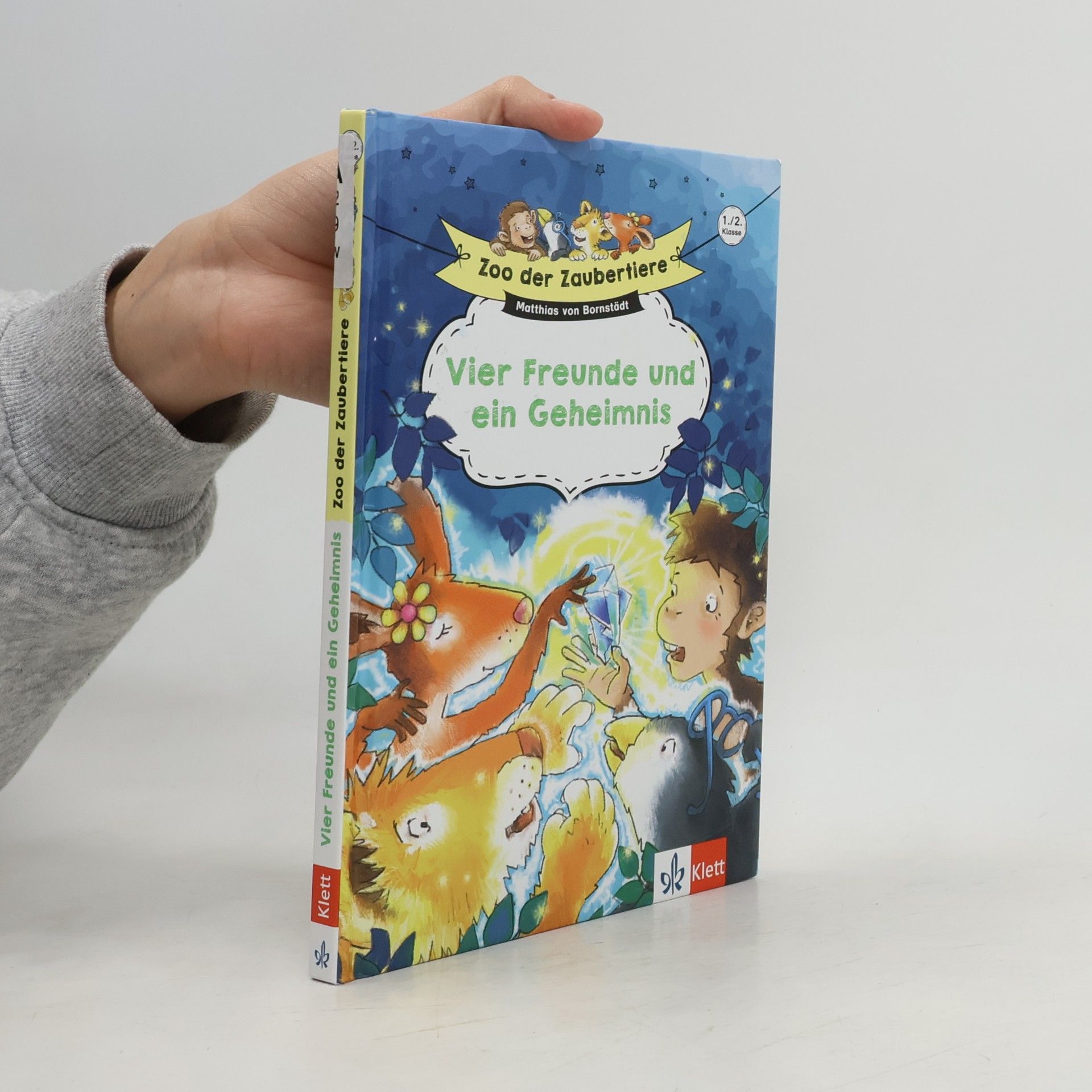 Matthias von Bornstädt Vier Freunde und ein Geheimnis