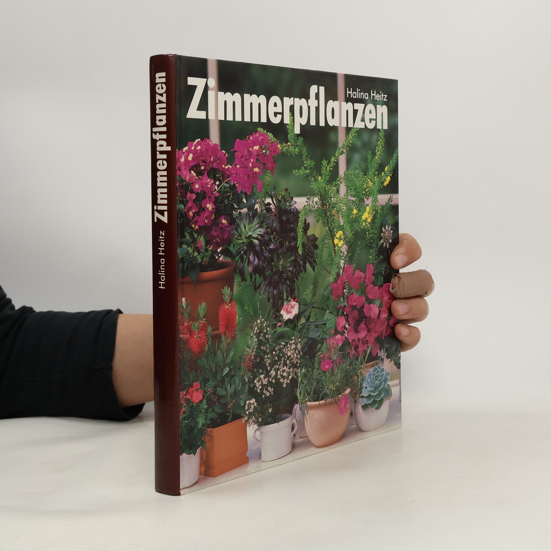 Halina Heitz Zimmerpflanzen