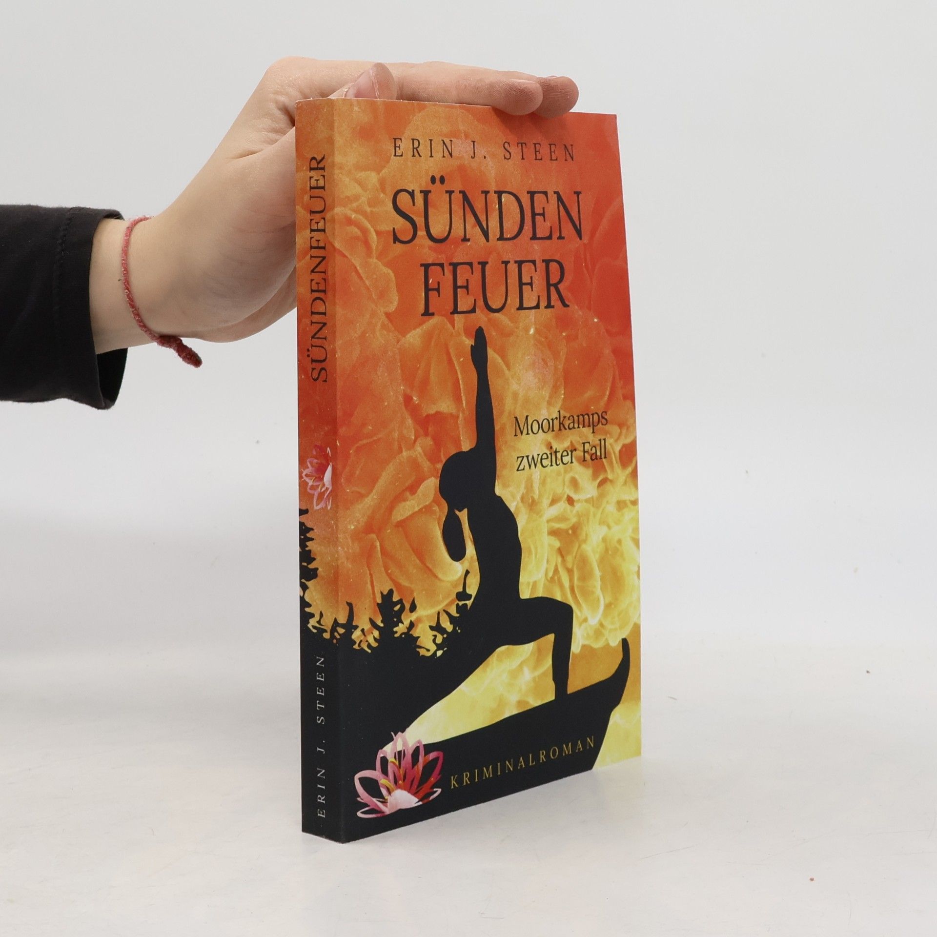 Erin J. Steen Moorkamps Fälle - 2: Sündenfeuer