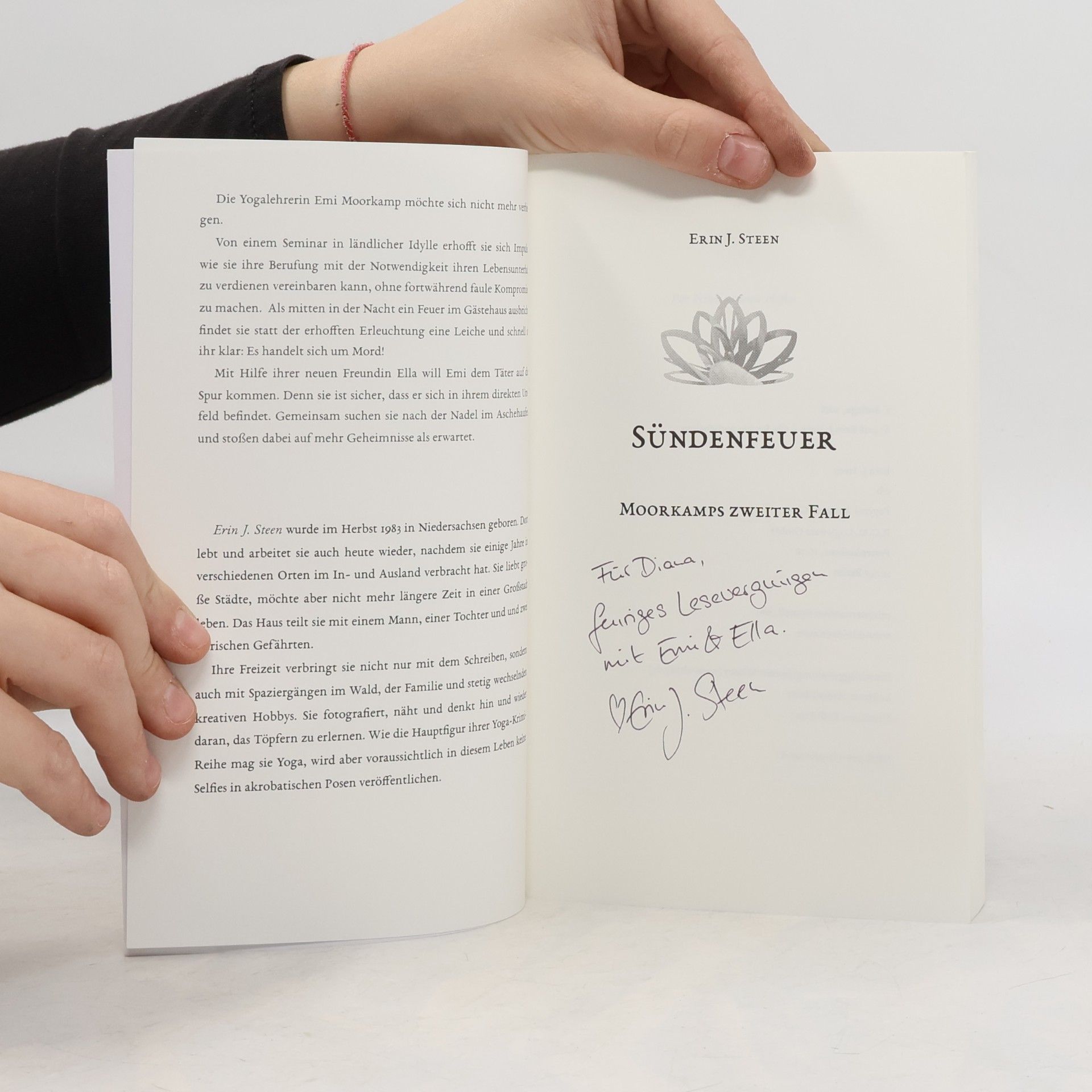 Erin J. Steen Moorkamps Fälle - 2: Sündenfeuer