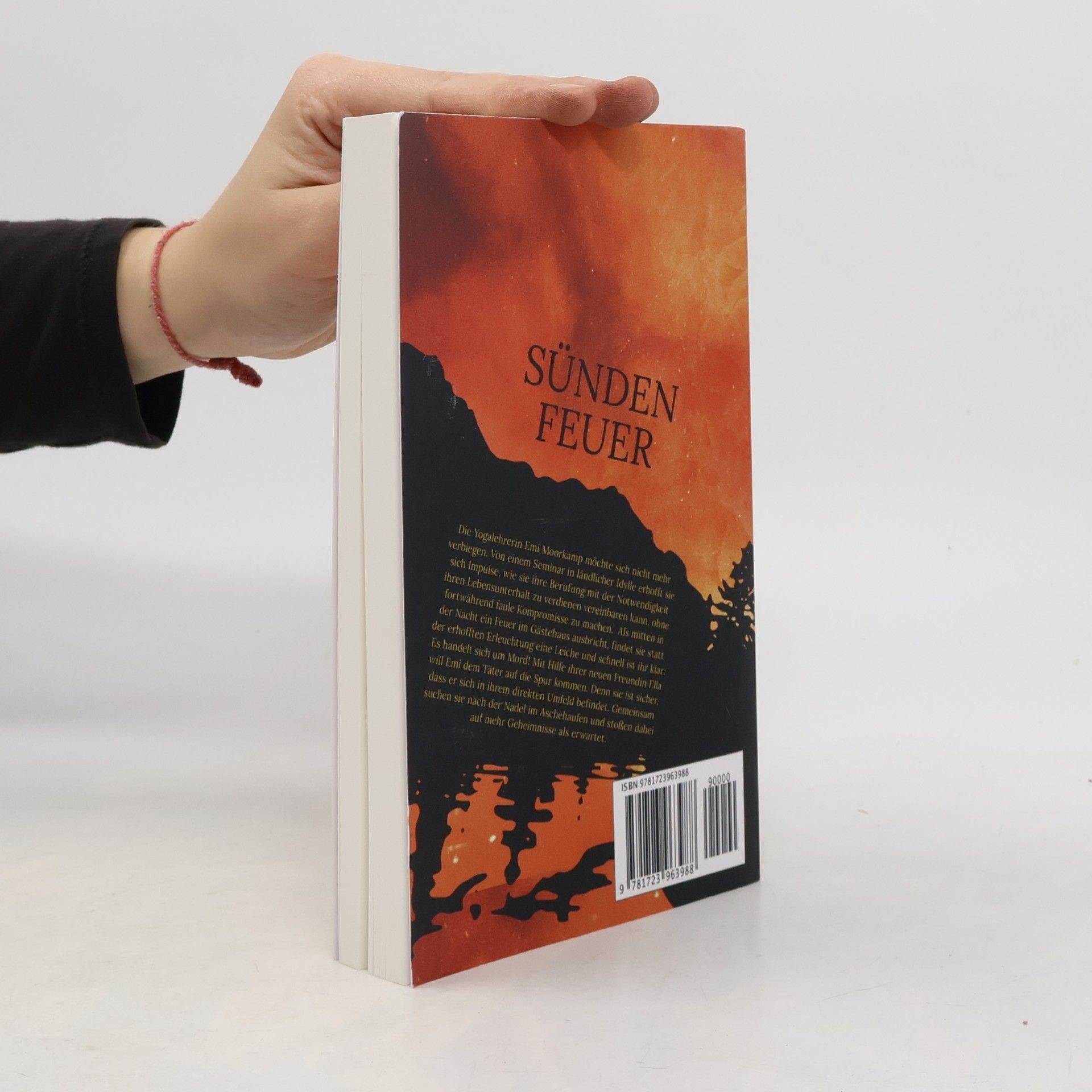 Erin J. Steen Moorkamps Fälle - 2: Sündenfeuer