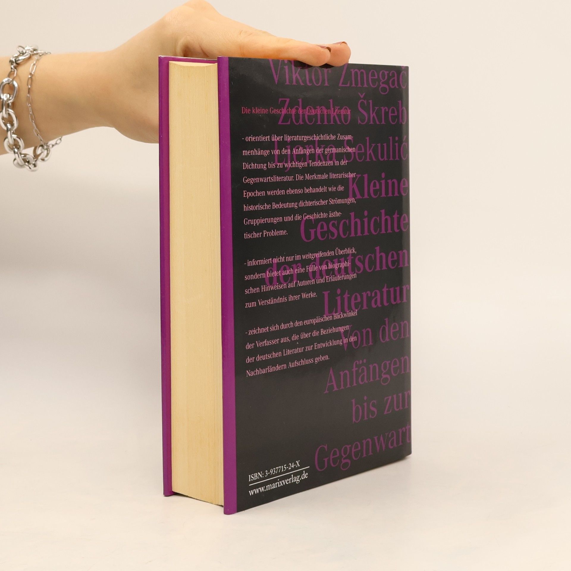 Viktor Žmegač Kleine Geschichte der deutschen Literatur