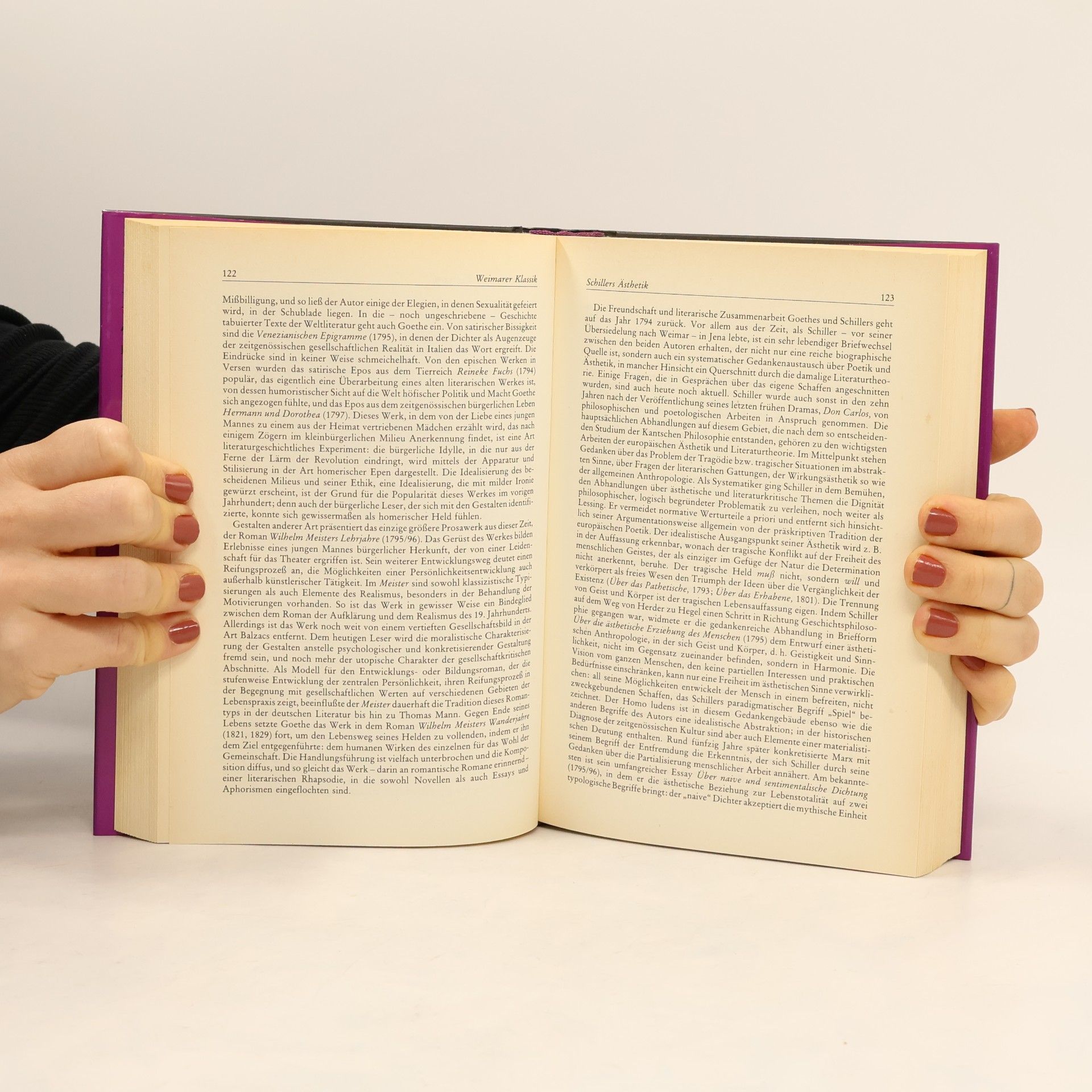 Viktor Žmegač Kleine Geschichte der deutschen Literatur