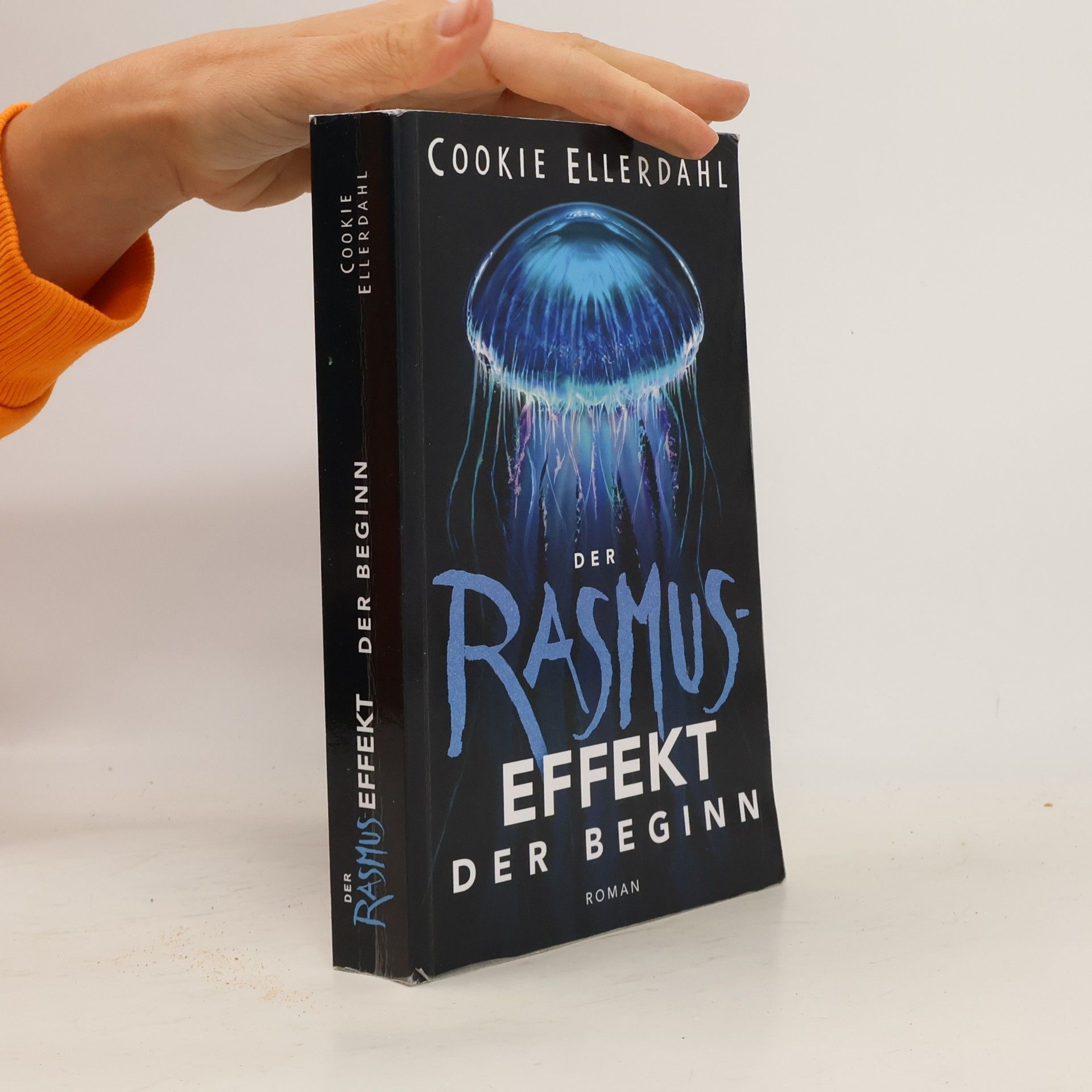 Der Rasmus-Effekt: Der Beginn (Thriller-Reihe, Band 2)
