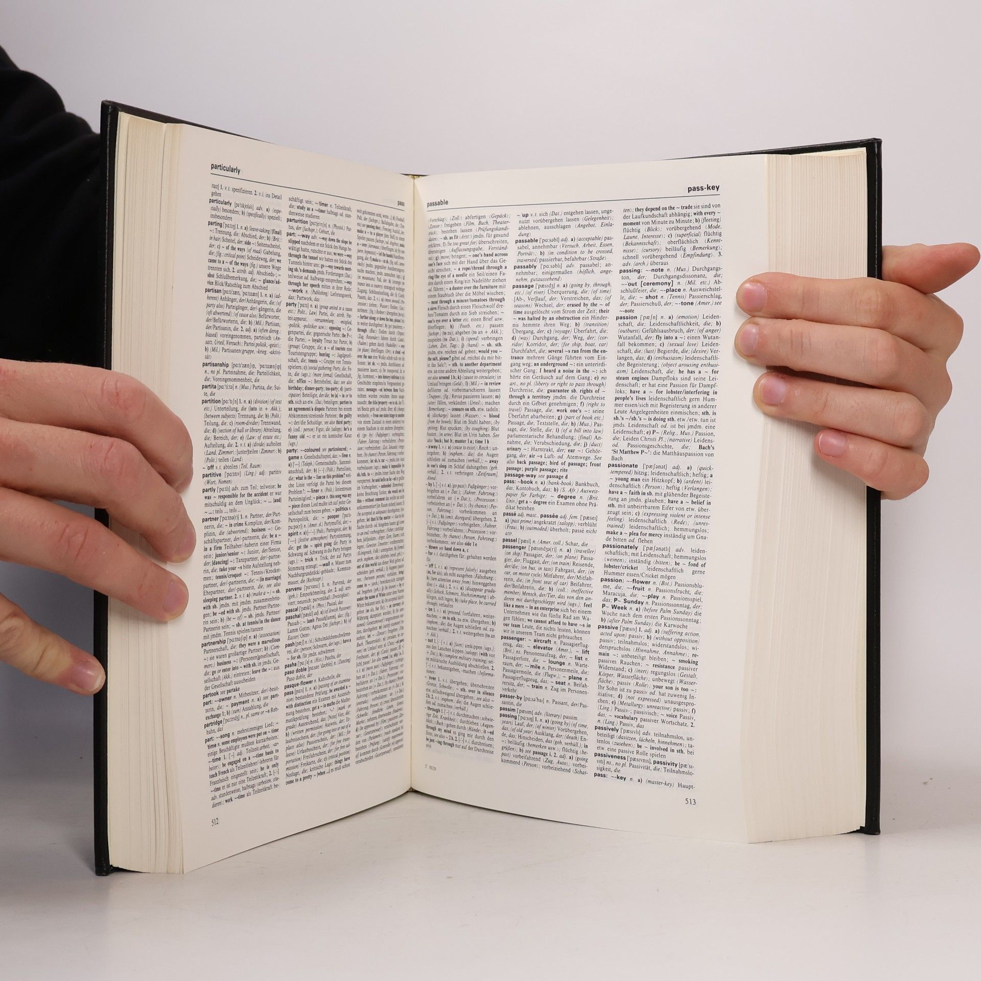Werner Scholze Stubenrecht Brockhaus Enzyklopädie. Band 29, Wörterbuch Englisch : Englisch-Deutsch, Deutsch-Englisch