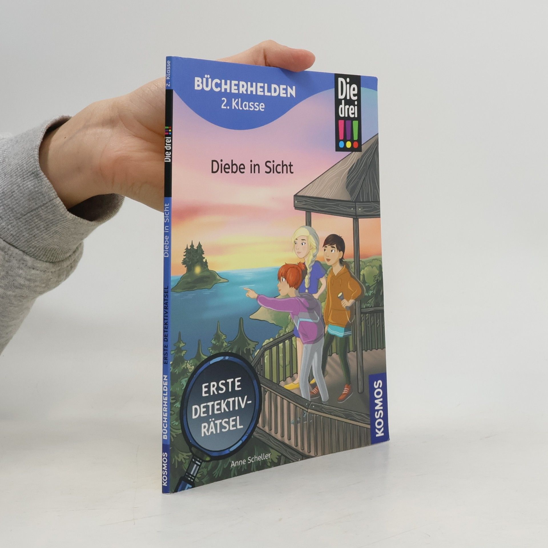 Anne Scheller Die drei !!!, Bücherhelden 2. Klasse, Diebe in Sicht