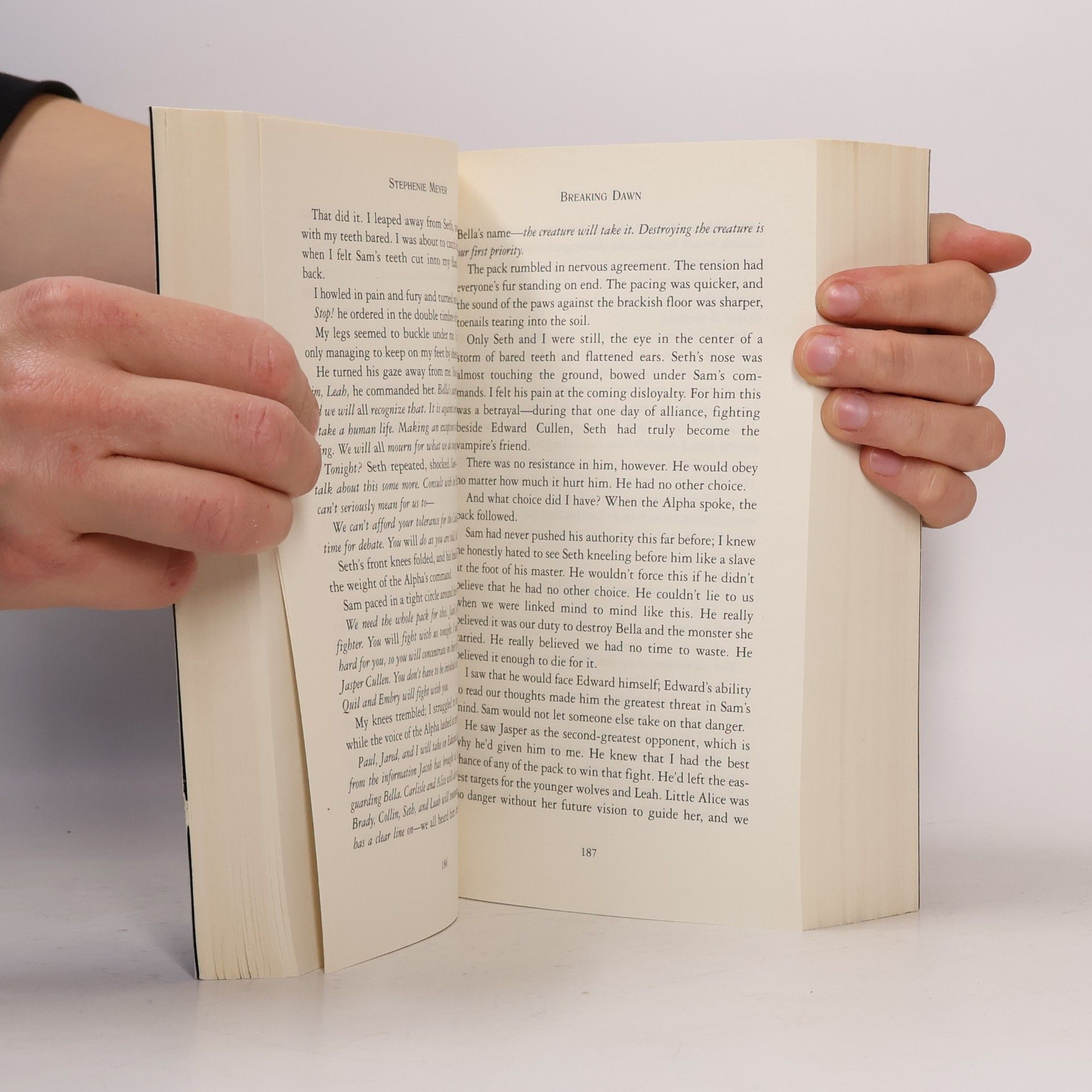 Stephenie Meyer Breaking Dawn