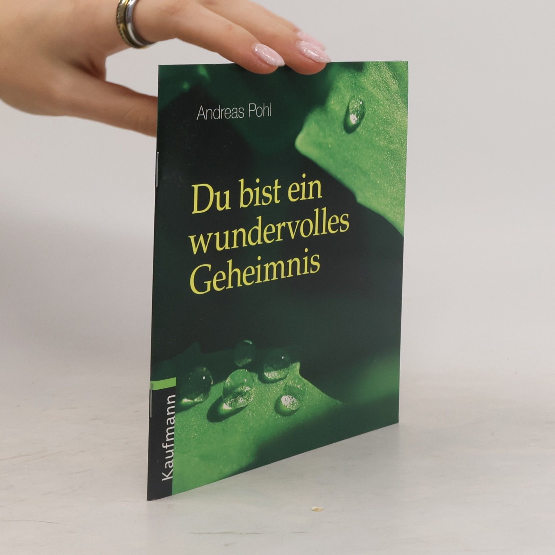 Andreas Pohl Du bist ein wundervolles Geheimnis