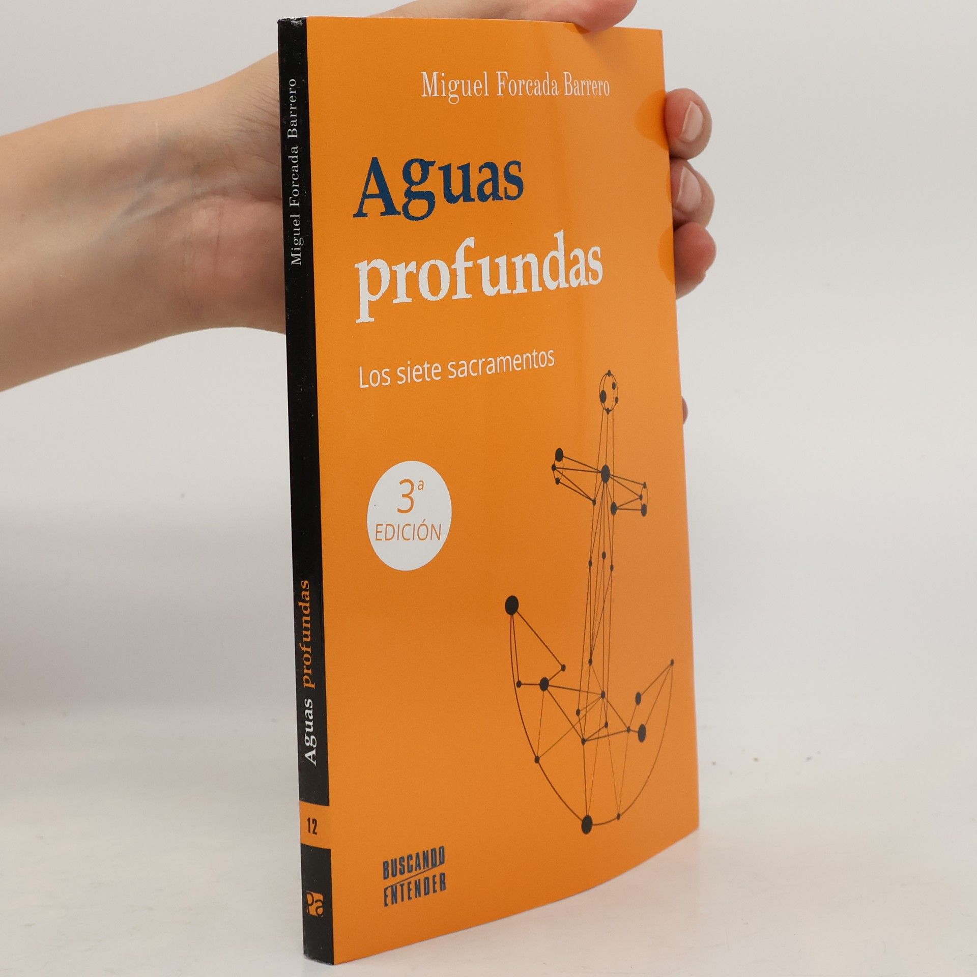 Forcada Barrero, Miguel Aguas profundas: Los siete sacramentos (Buscando entender, Band 12)