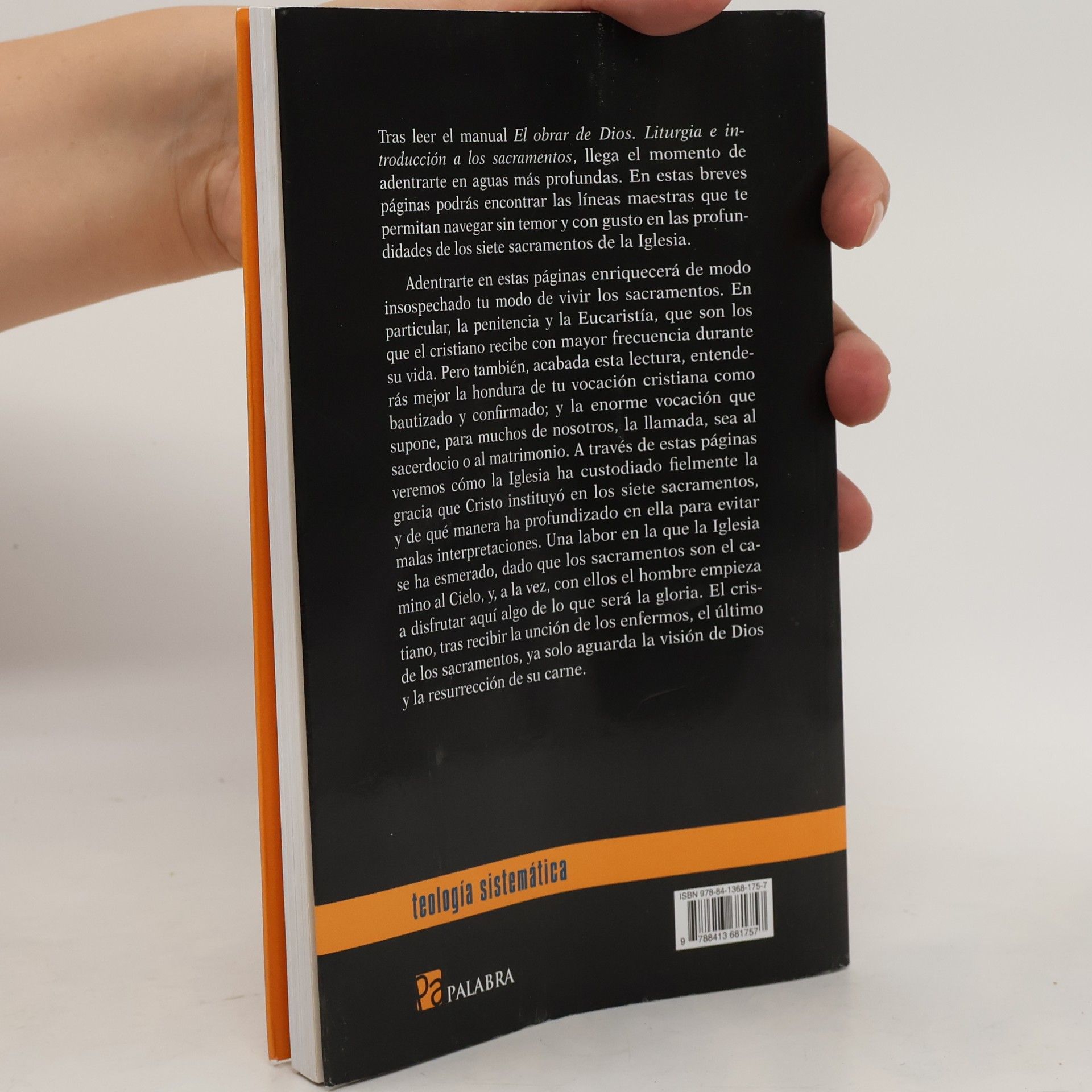 Forcada Barrero, Miguel Aguas profundas: Los siete sacramentos (Buscando entender, Band 12)