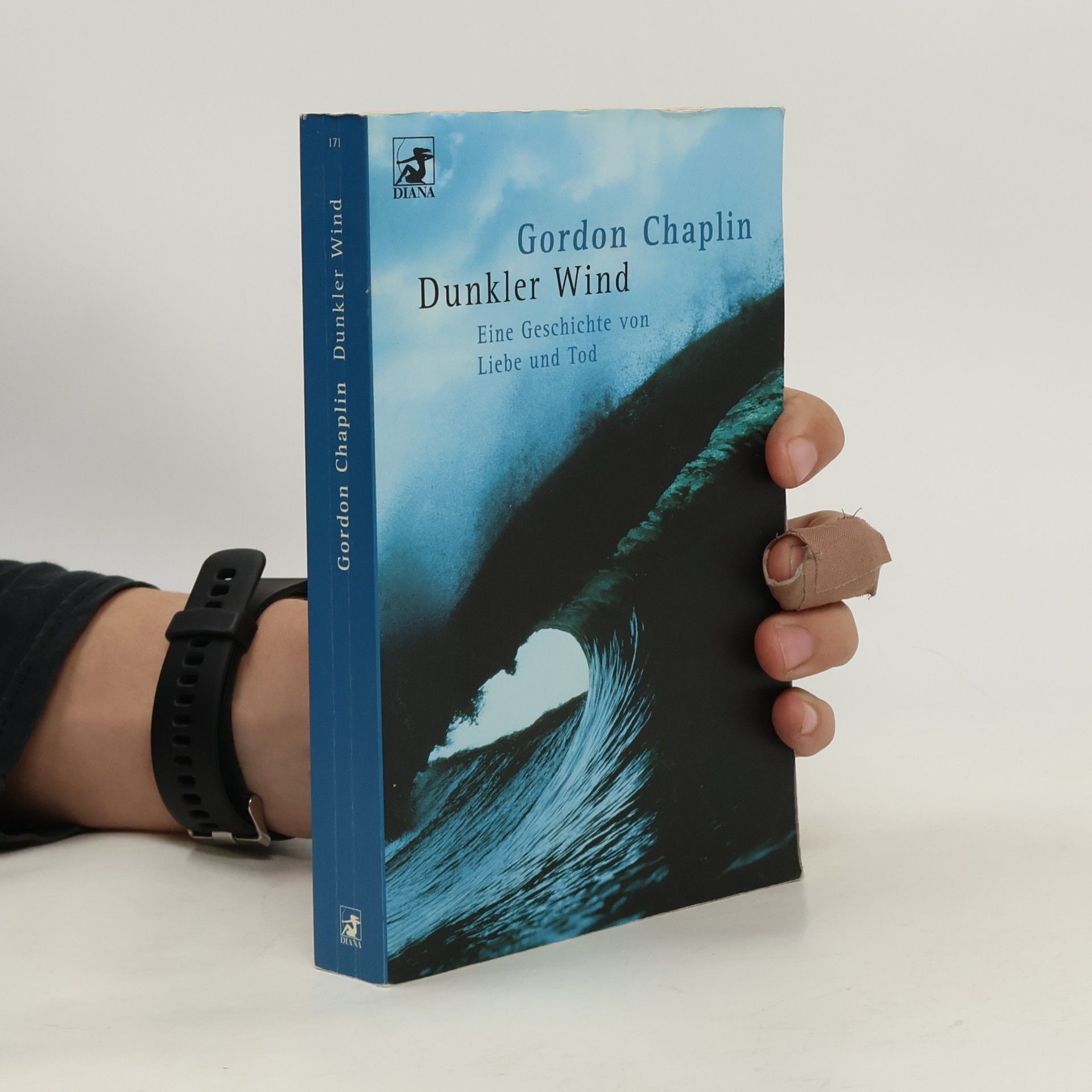 Gordon Chaplin Dunkler Wind