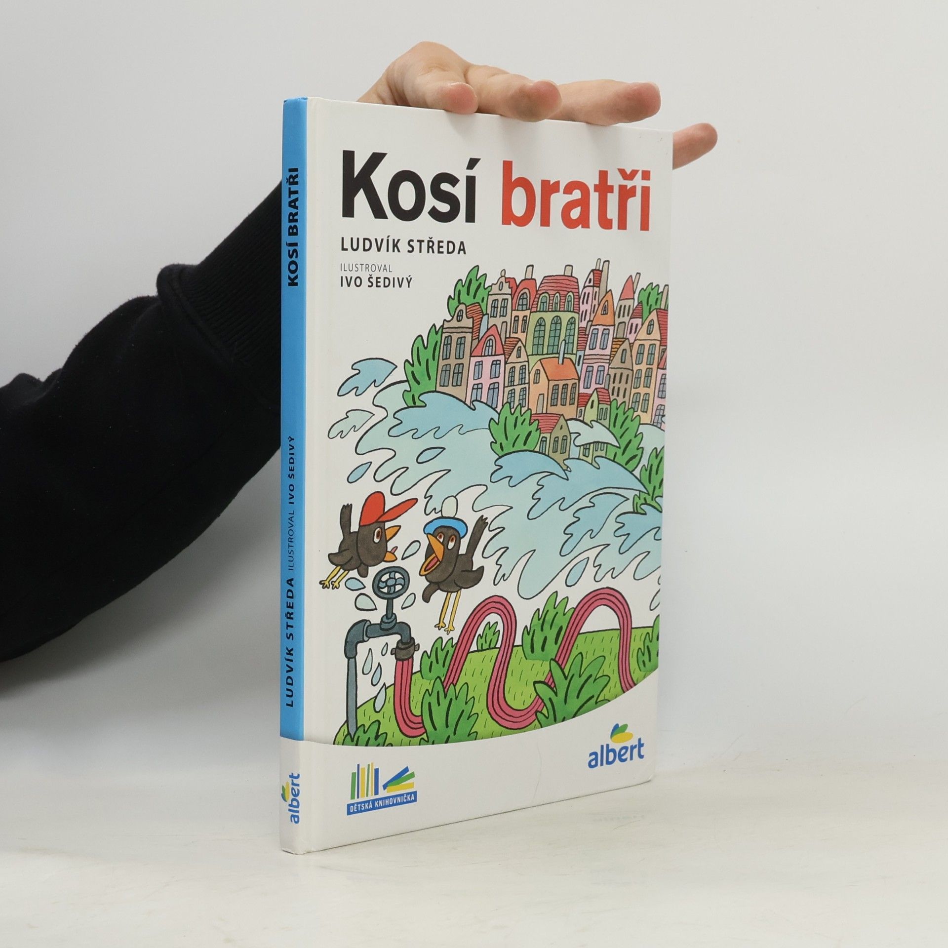 Kosí bratři