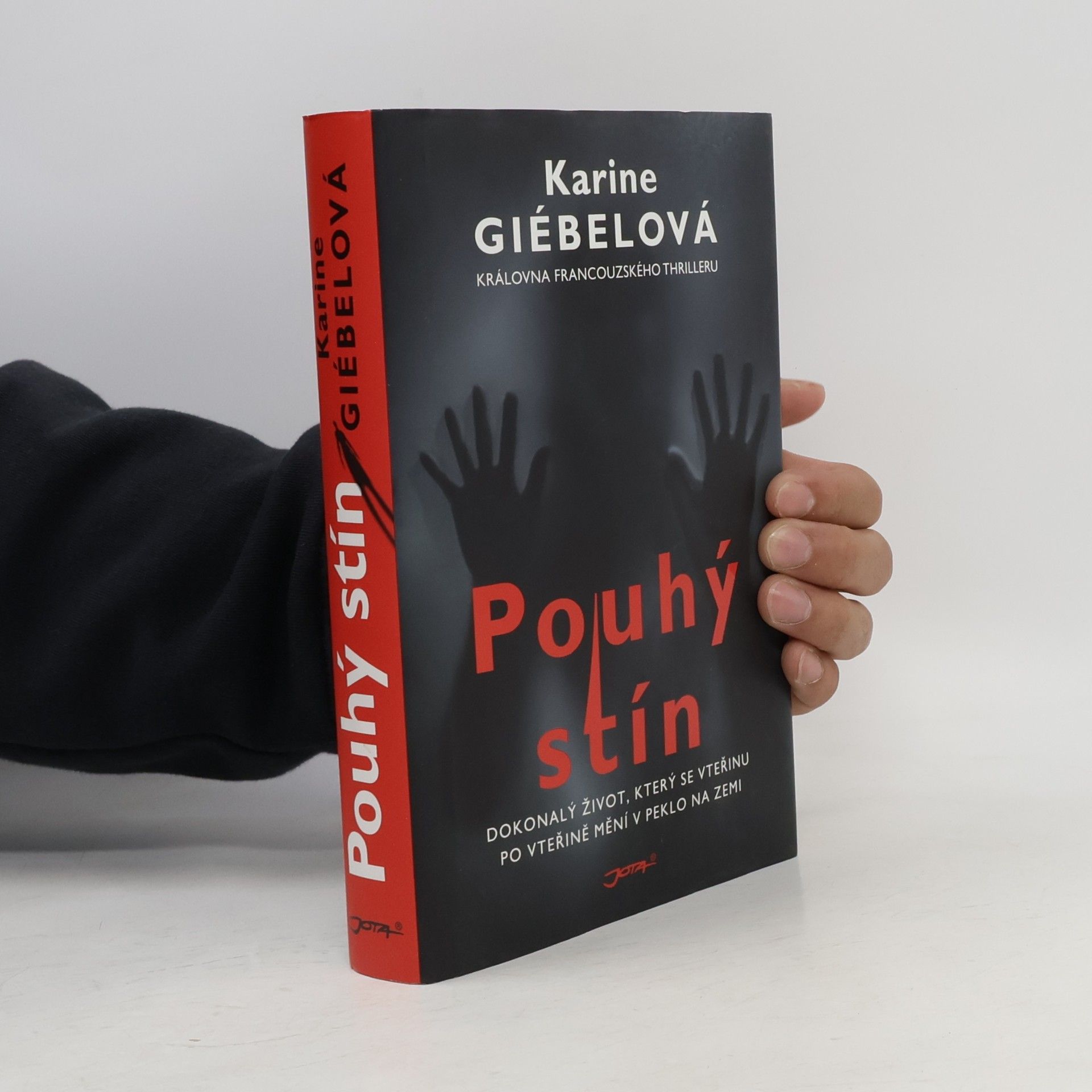 Karine Giebel Pouhý stín