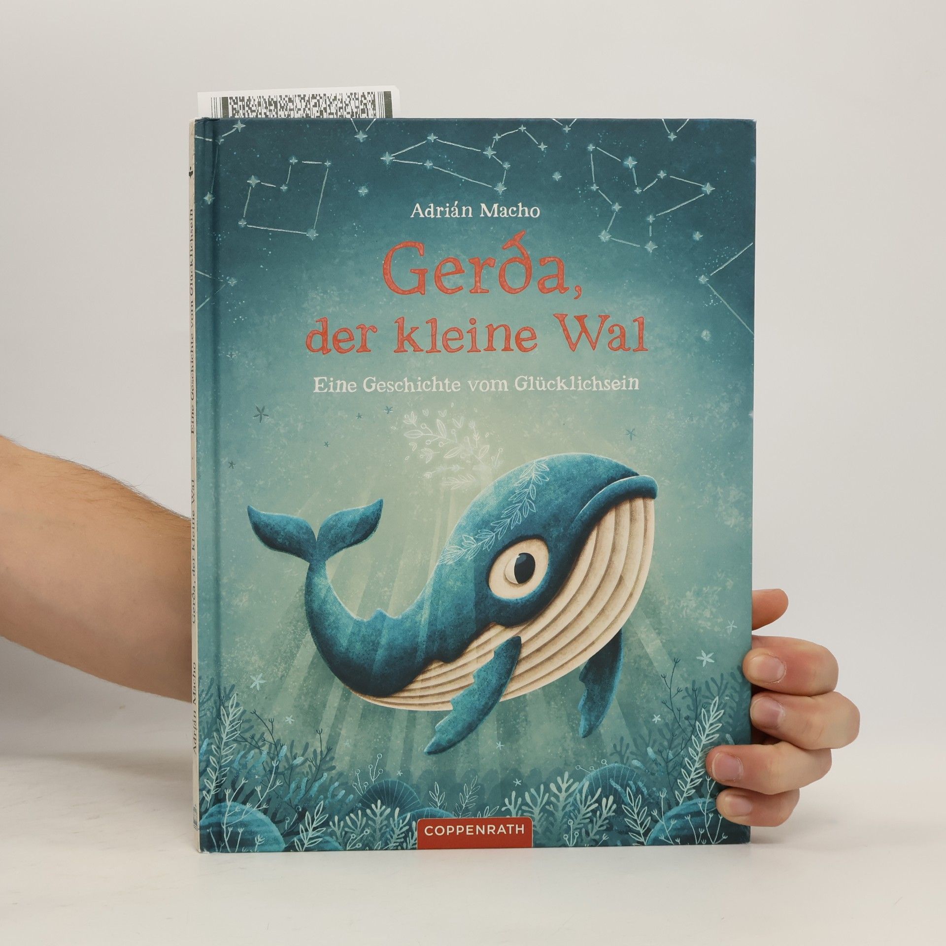 Erwin Grosche Gerda, der kleine Wal