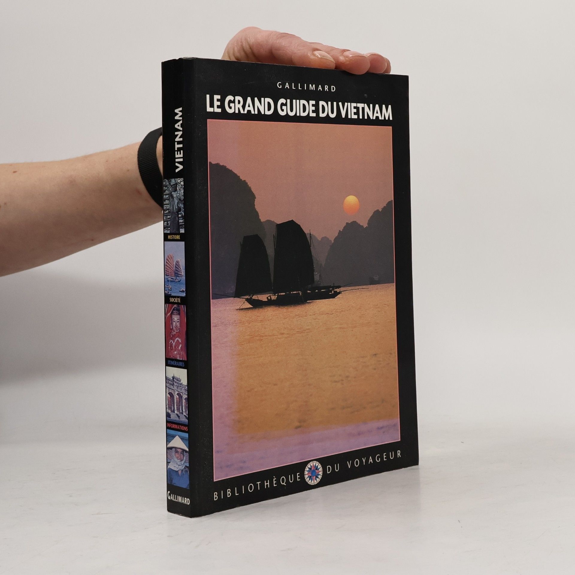 Collectifs Gallimard Loisirs Le grand guide du Vietnam
